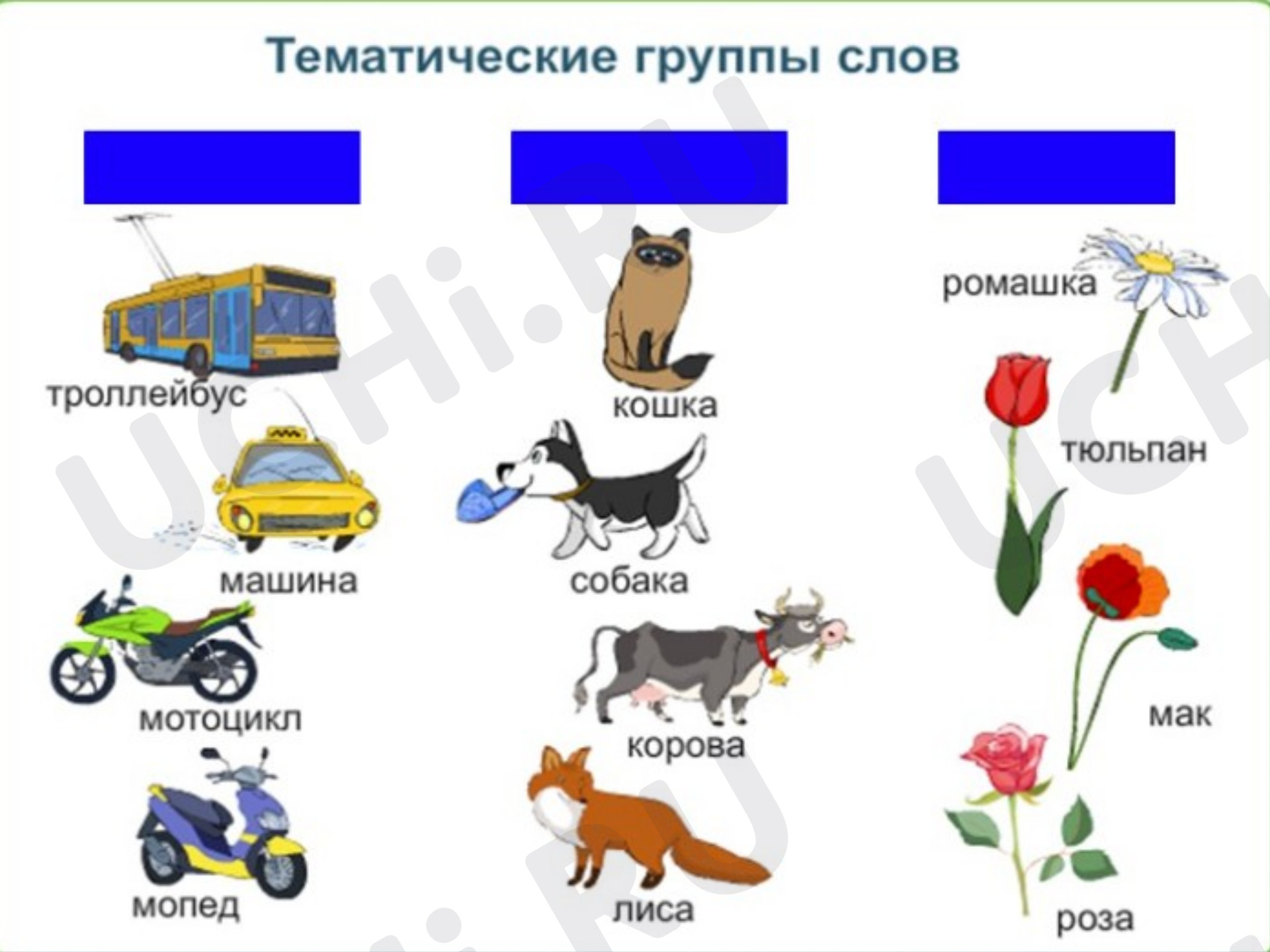 Предпросмотр материала Родственные слова