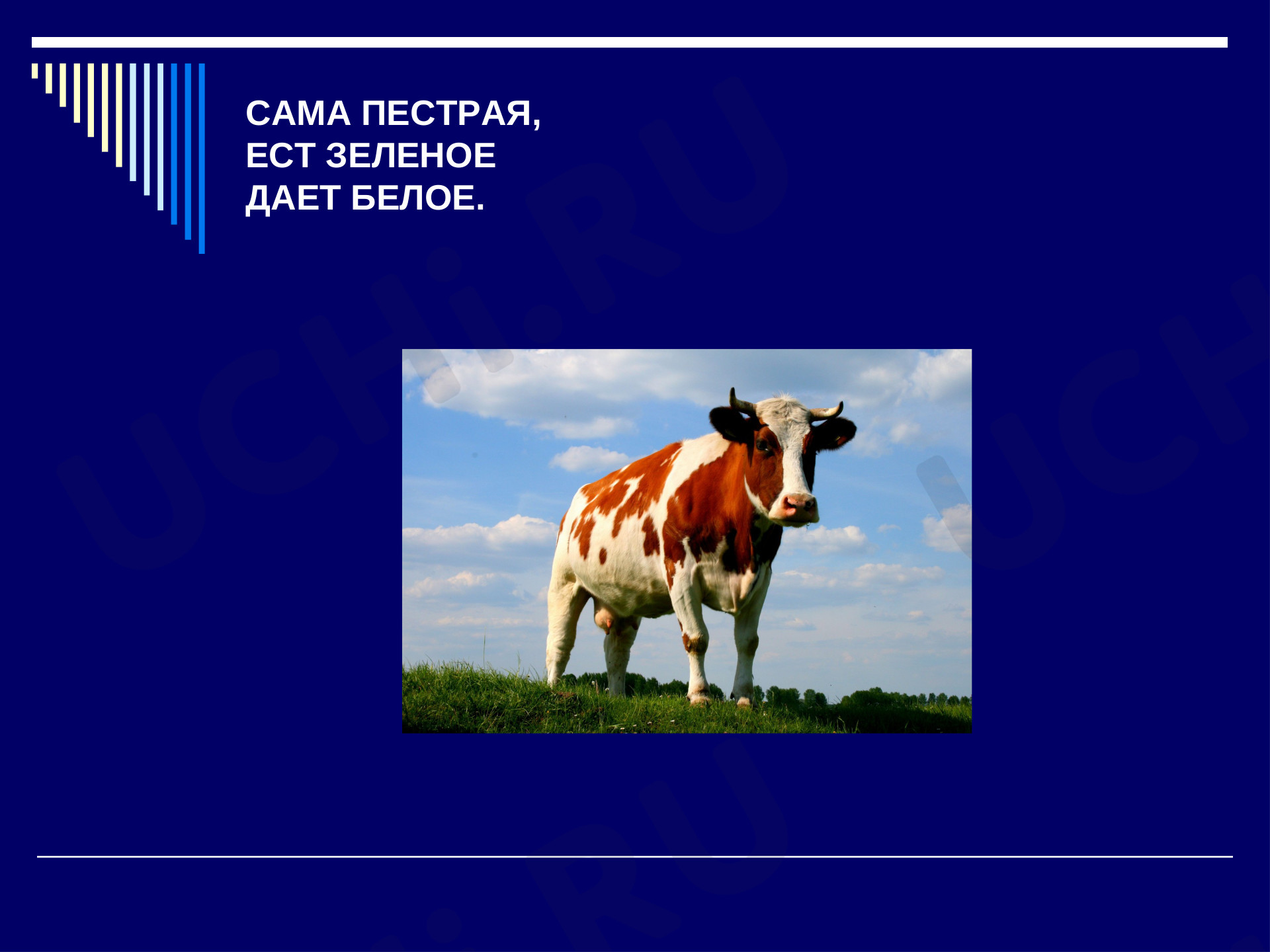 Экономика, окружающий мир 3 класс | Подготовка к уроку от Учи.ру