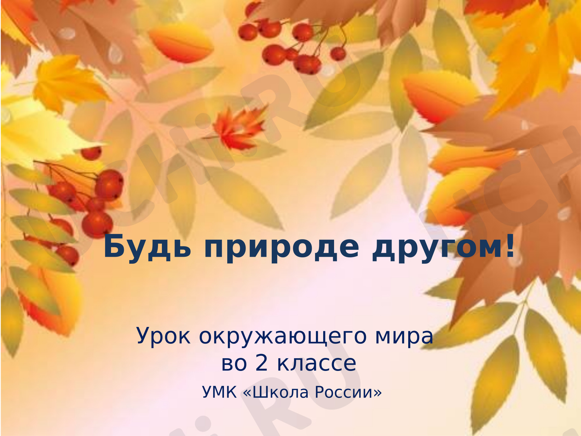 Предпросмотр материала Урок окружающего мира  по теме "Будь природе другом!"