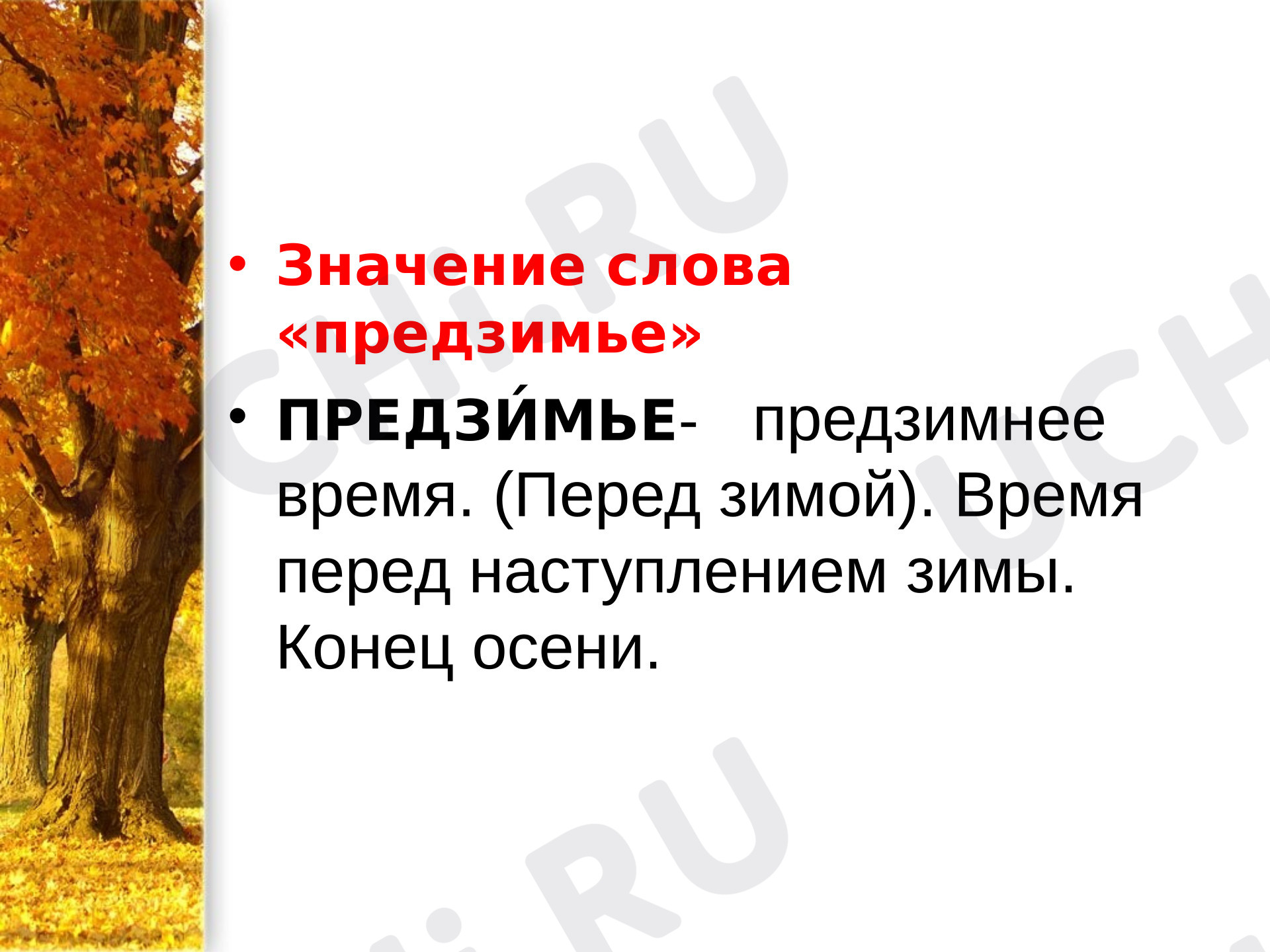 Предпросмотр материала Состав слова. Обобщение.