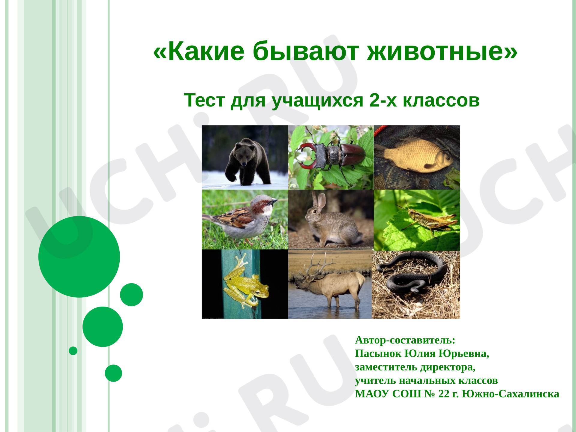 Предпросмотр материала Презентация к уроку окружающего мира. Какие бывают животные: интерактивный тест для учащихся 2-х классов