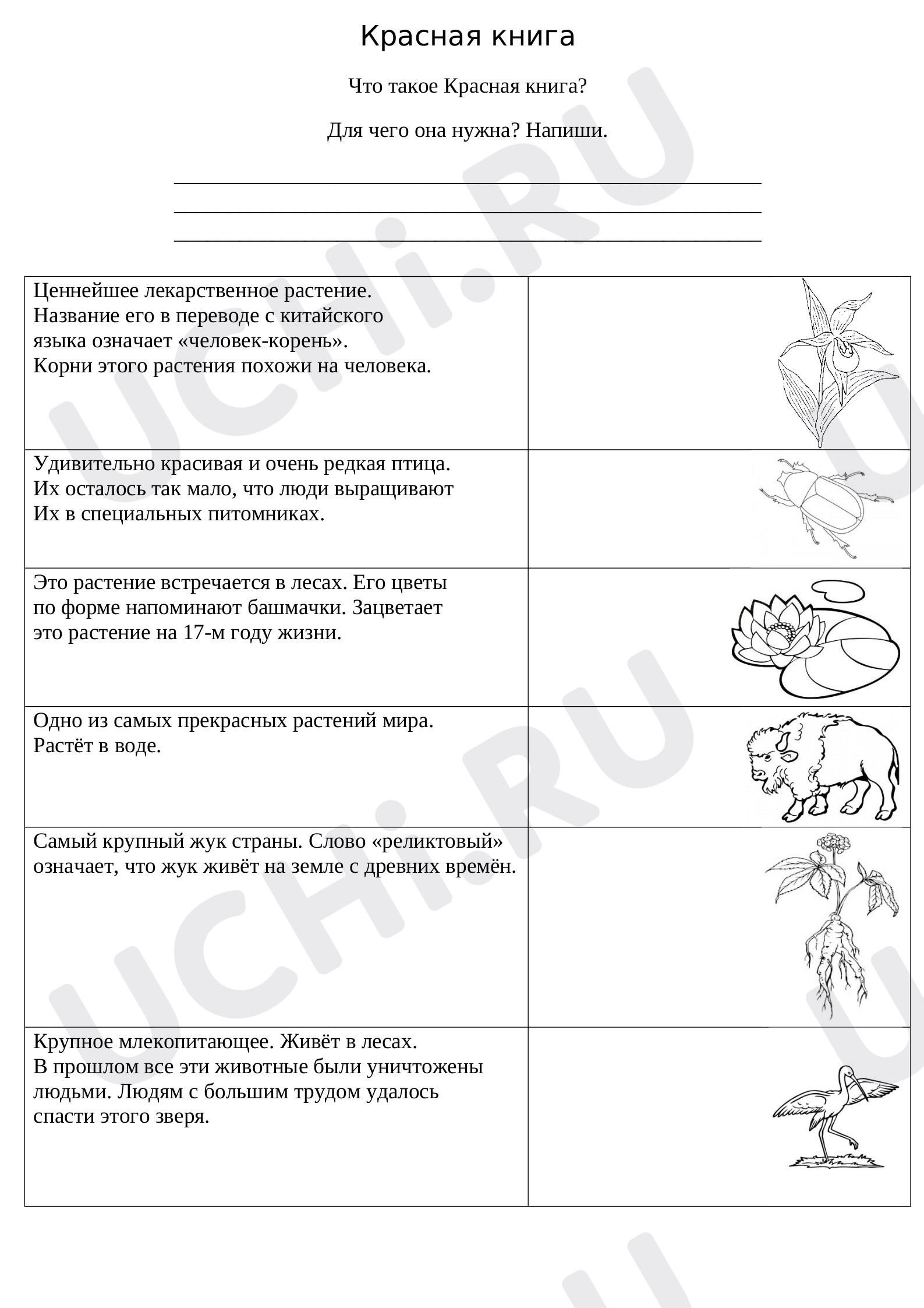 Предпросмотр материала Красная книга
