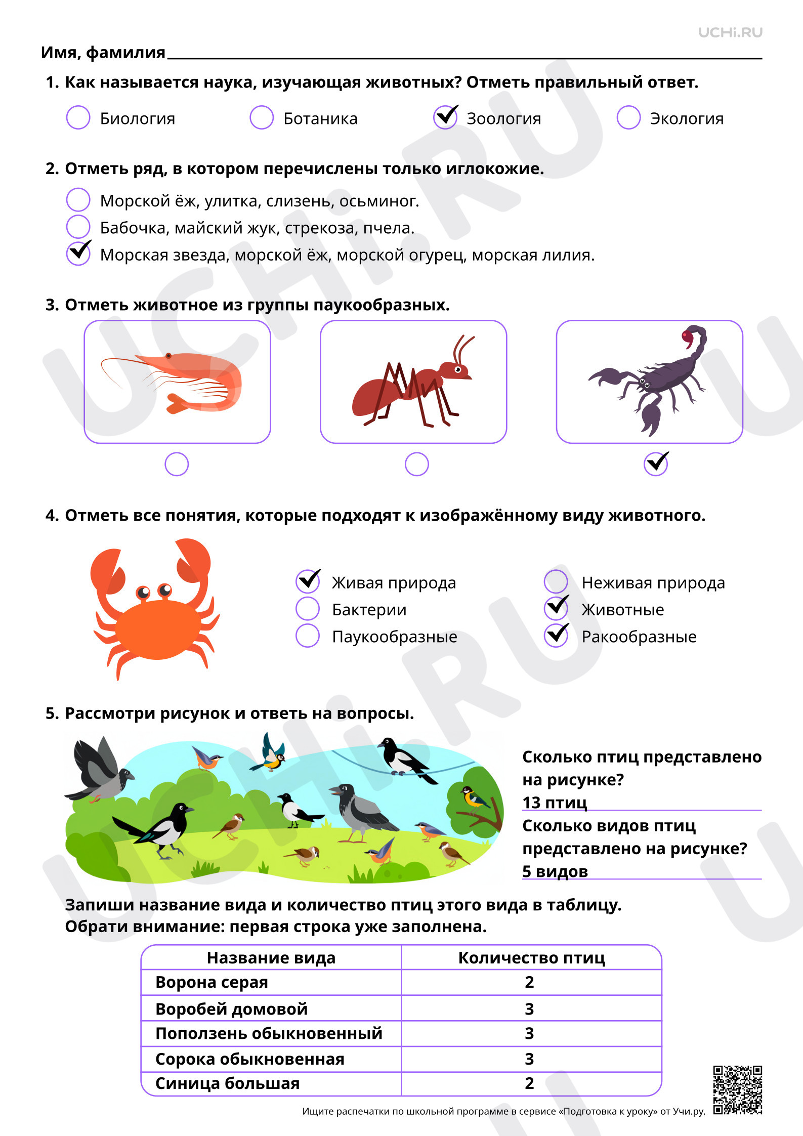 Предпросмотр материала Жизнь животных в разные времена года. Ответы