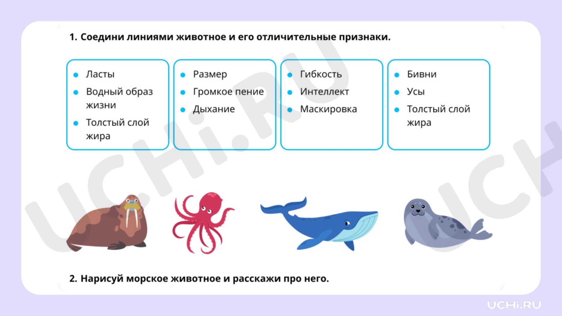 Окружающий мир для 2 четверти 1 класса. ЭОР | Подготовка к уроку от Учи.ру