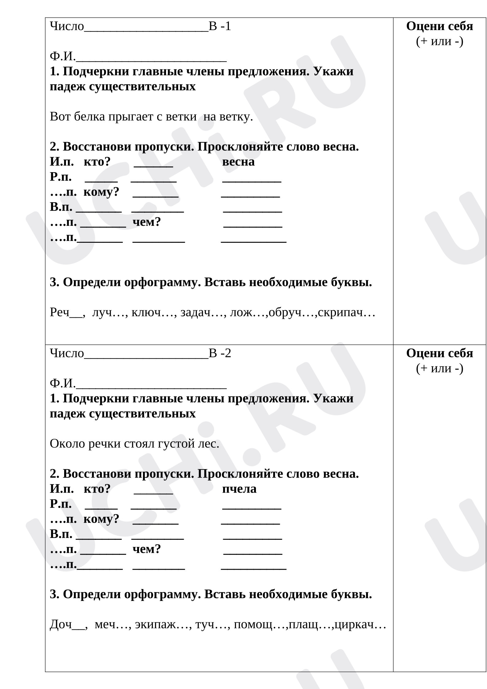 Предпросмотр материала Проверочная работа по русскому языку. Имя существительное.