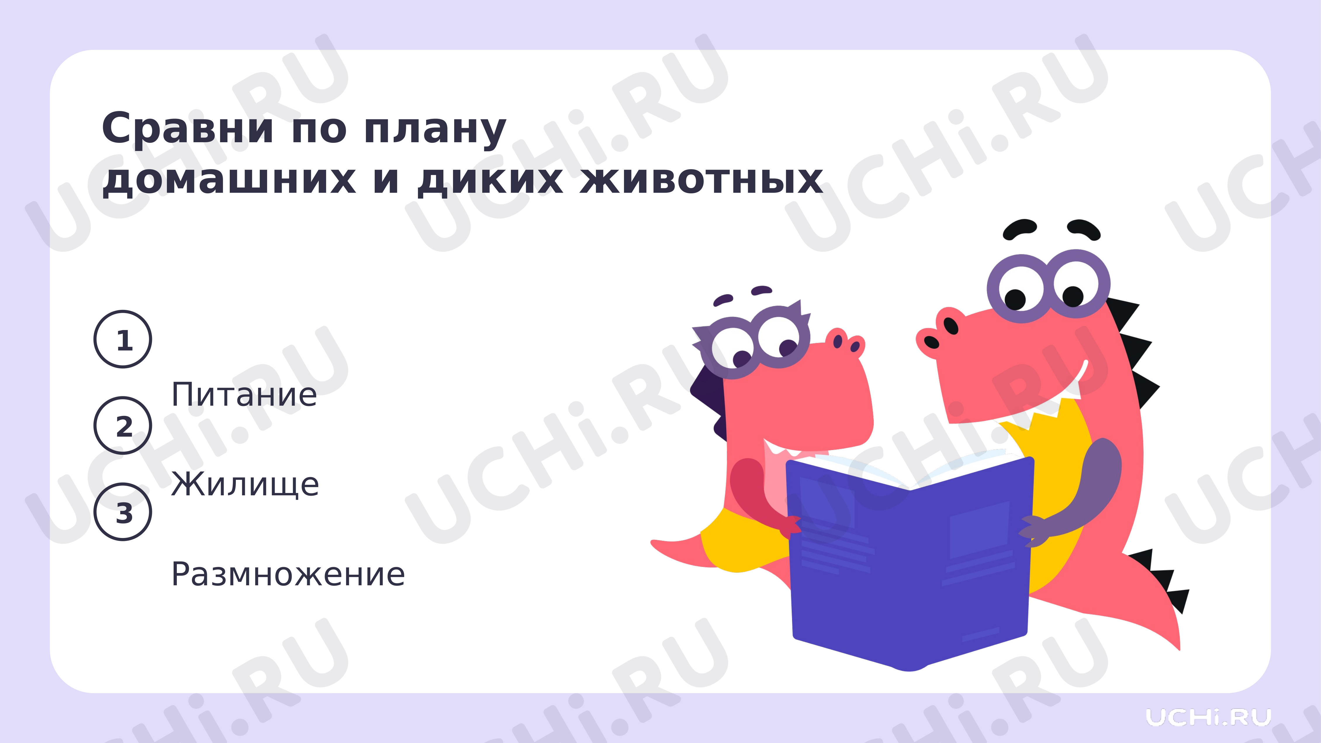 Рабочие листы по теме «Домашние и дикие животные. Различия в условиях  жизни». Повышенный уровень: Домашние и дикие животные. Различия в условиях  жизни | Учи.ру