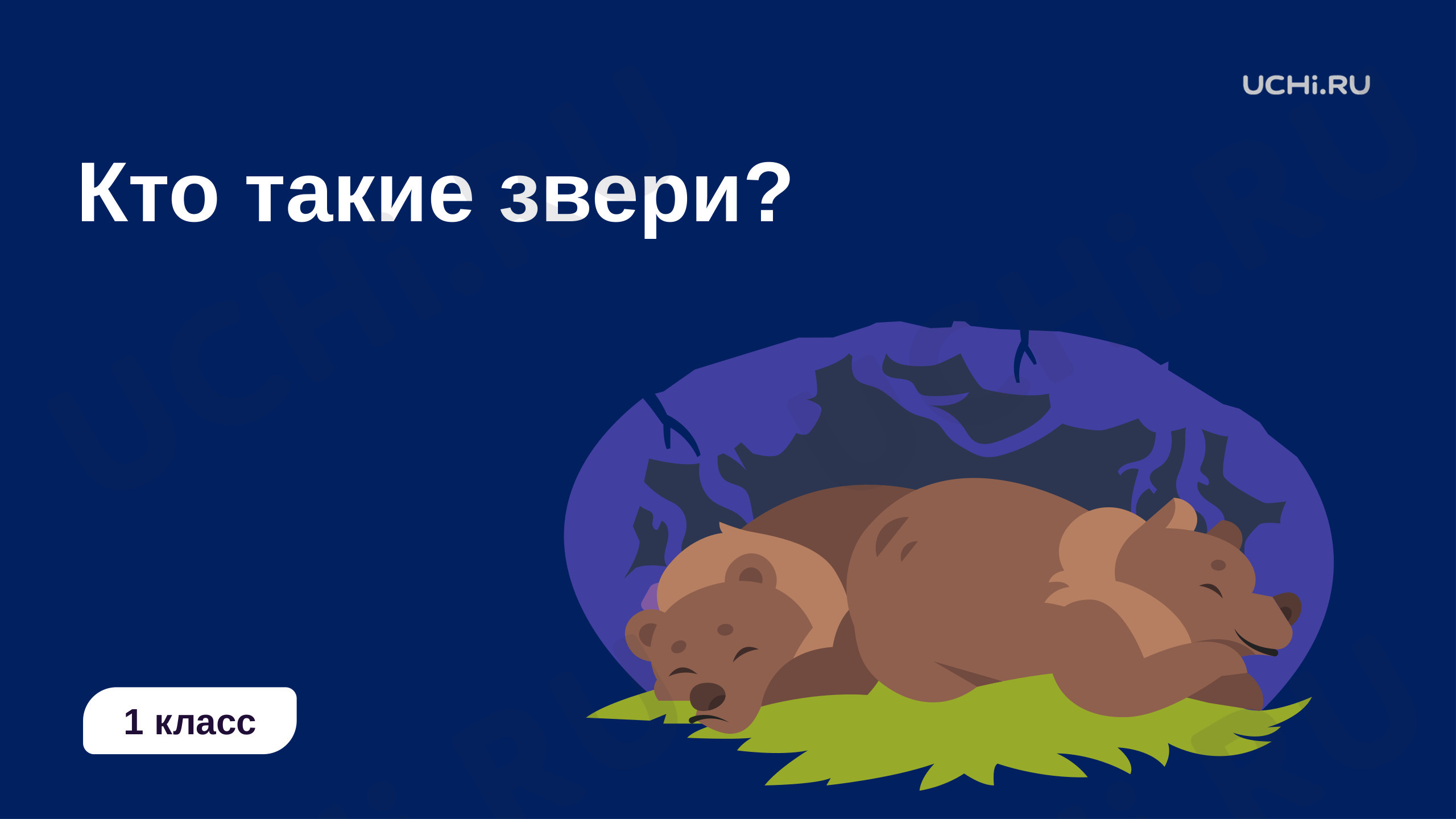 Предпросмотр материала Кто такие звери?