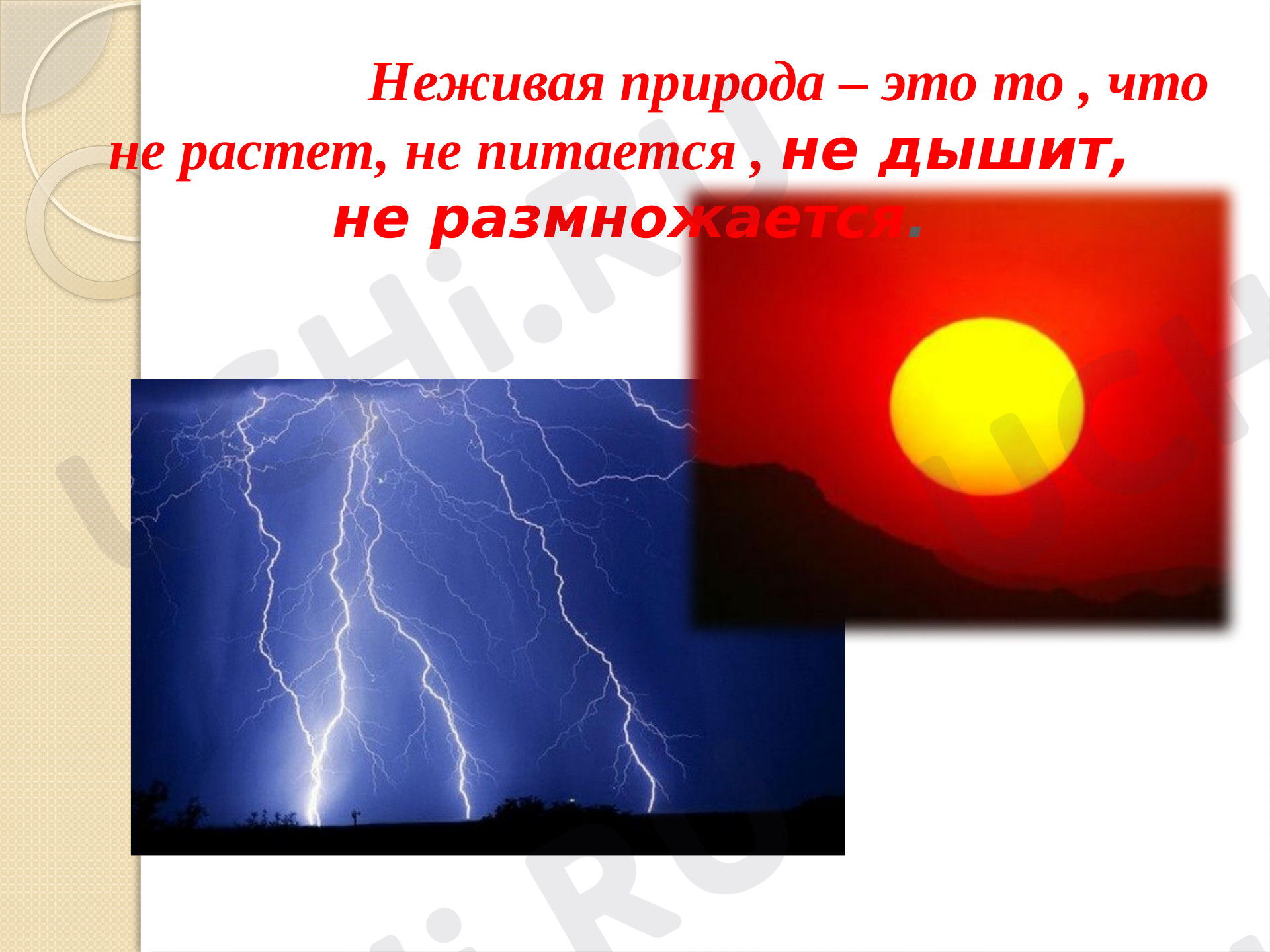 Живая и неживая природа картинки