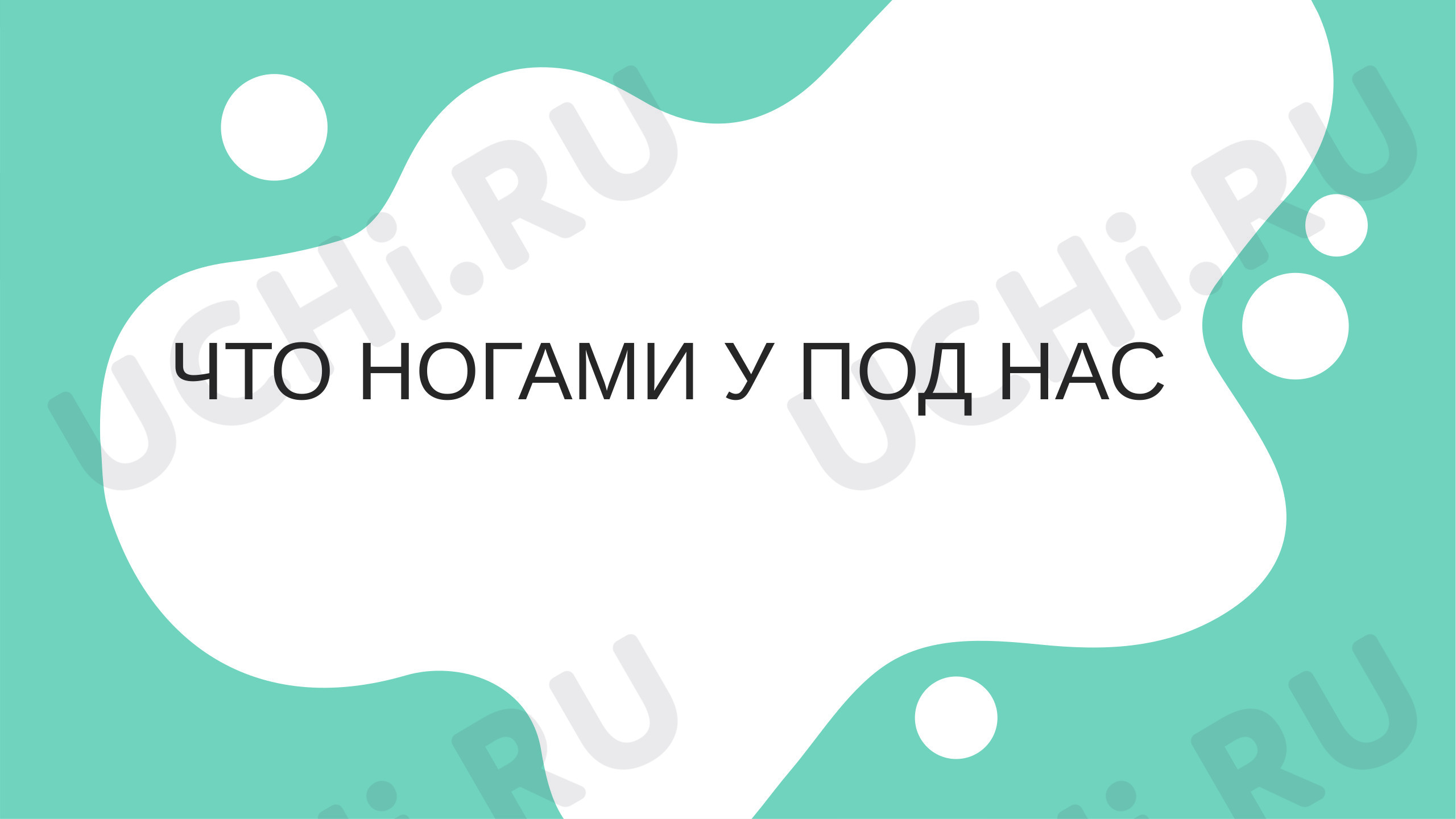 Предпросмотр материала Презентация к уроку окружающего мира. Что у нас под ногами?