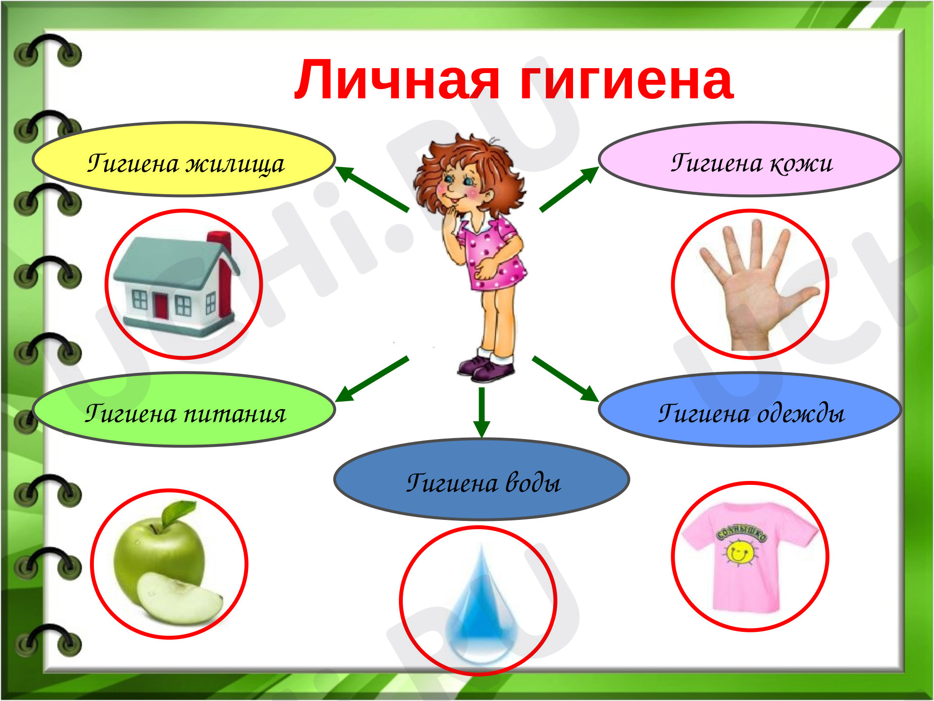 Личная гигиена картинки для детей