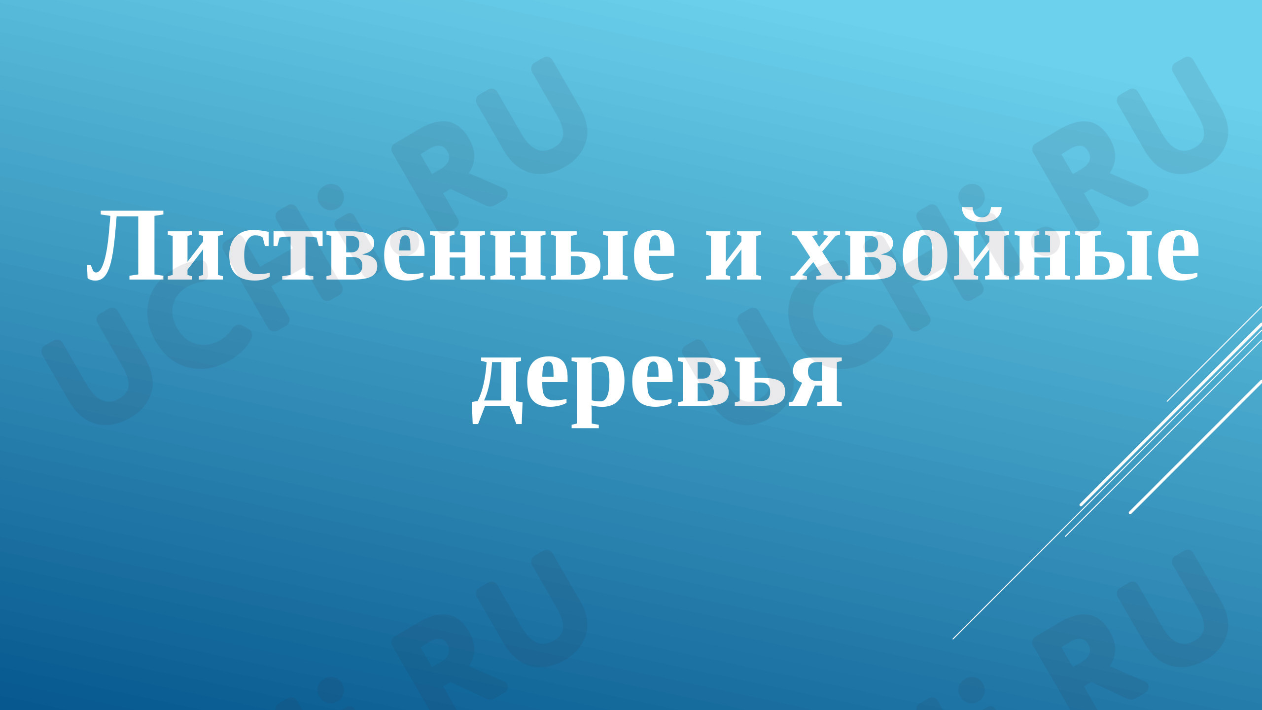 Предпросмотр материала Презентация к уроку окружающего мира. Лиственные и хвойные деревья.