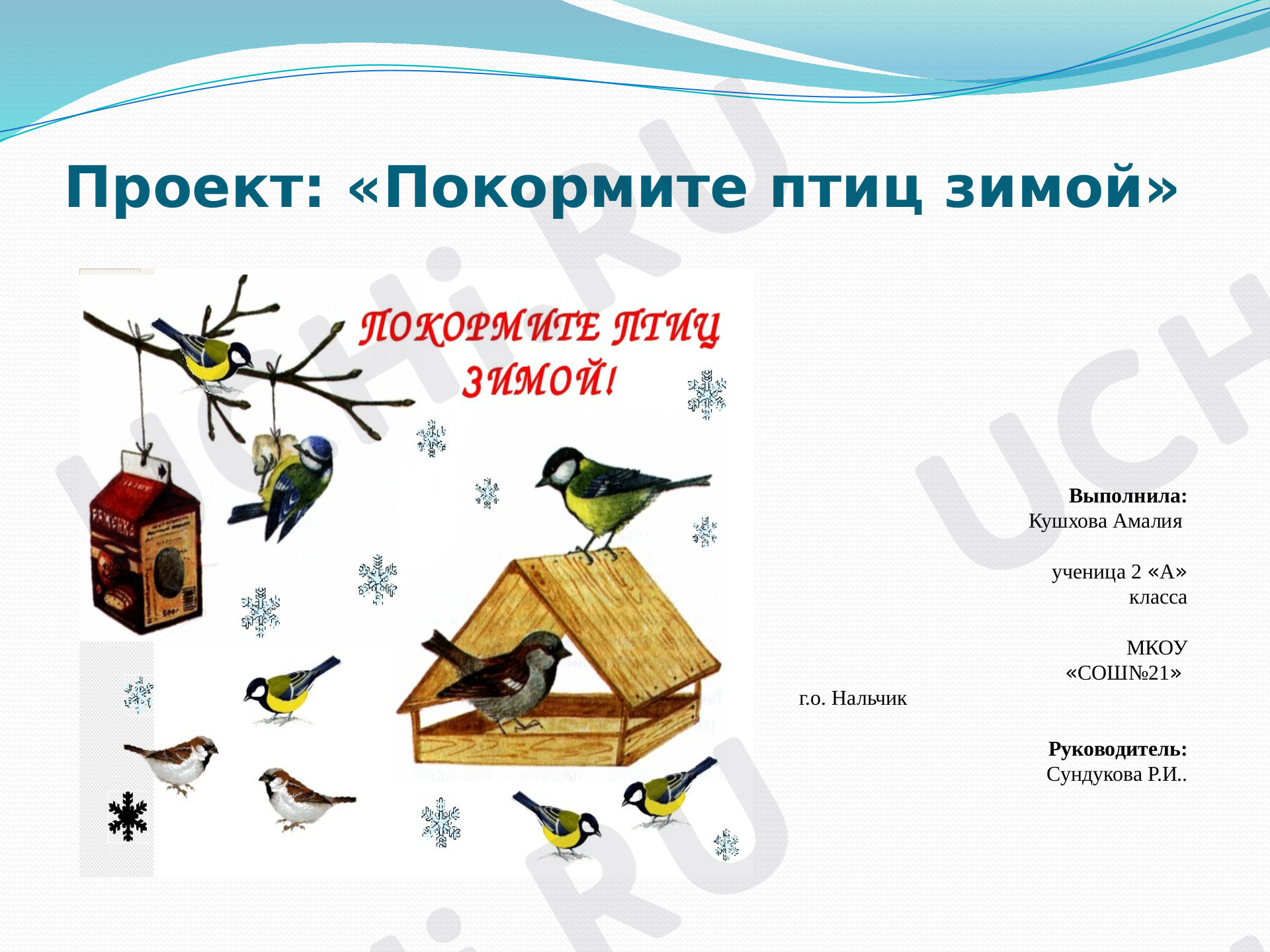 Предпросмотр материала Покормите птиц зимой!