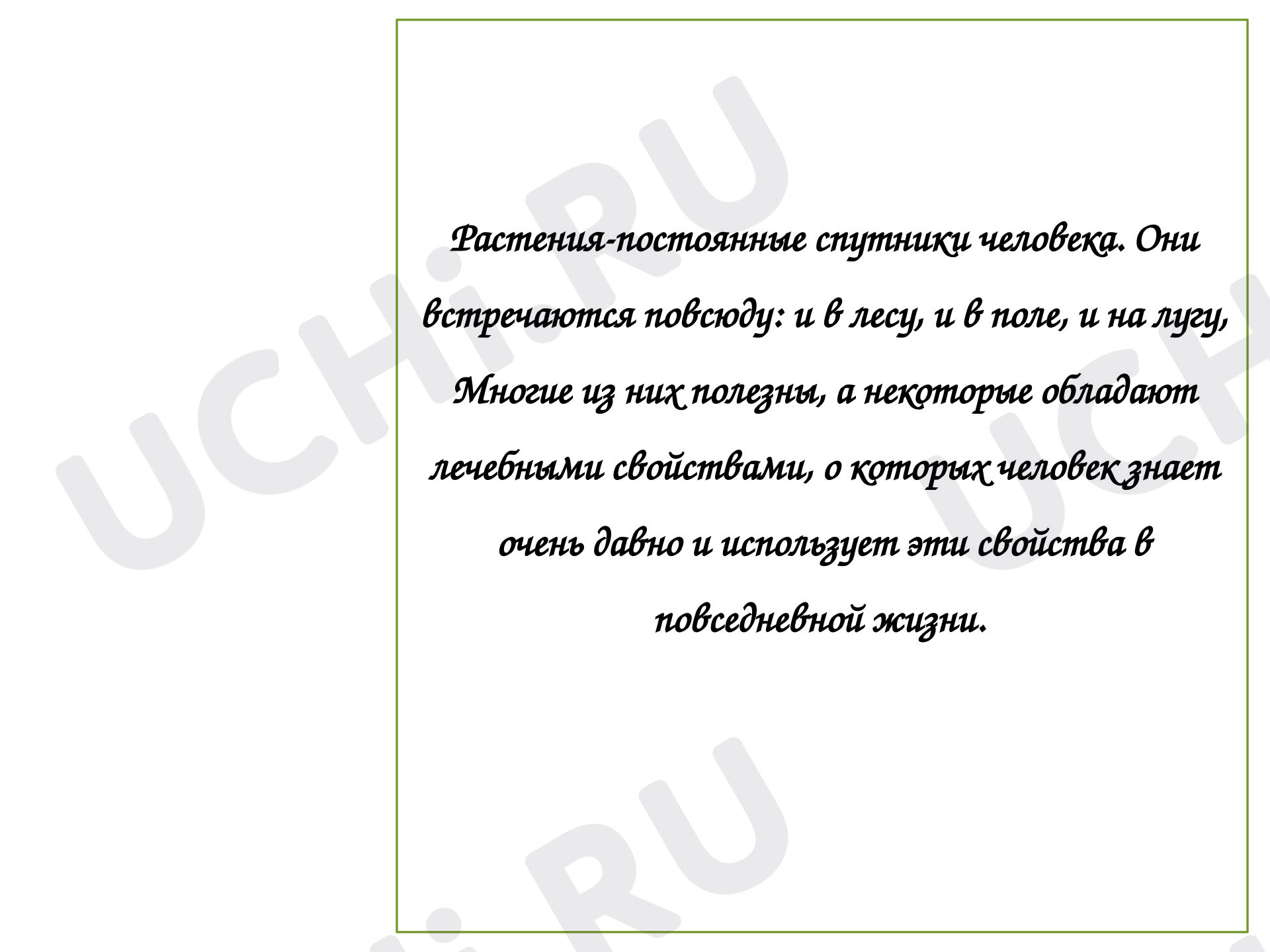 Предпросмотр материала Презентация. Растения. "Лесная аптека"