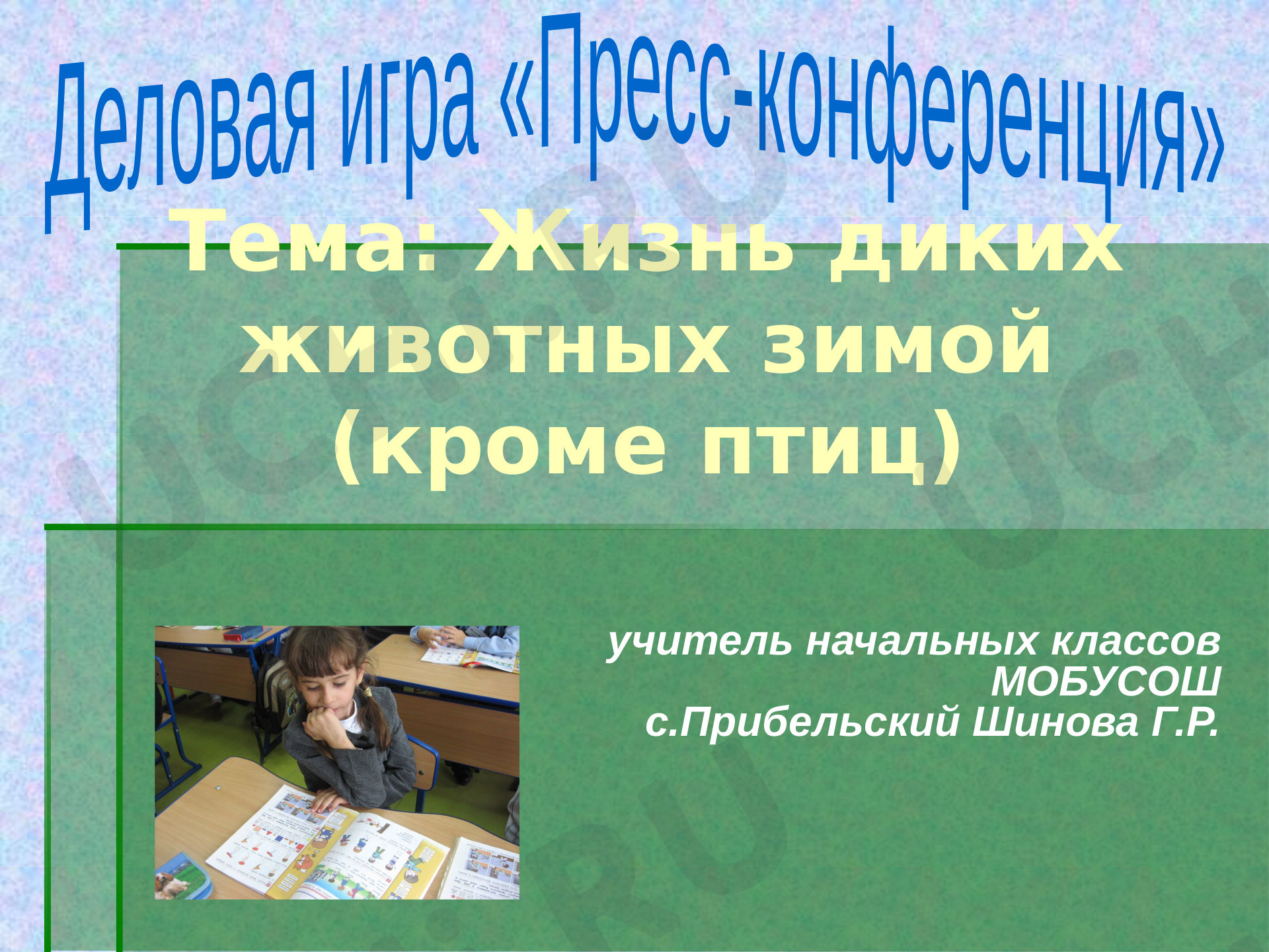 Предпросмотр материала Жизнь диких животных зимой