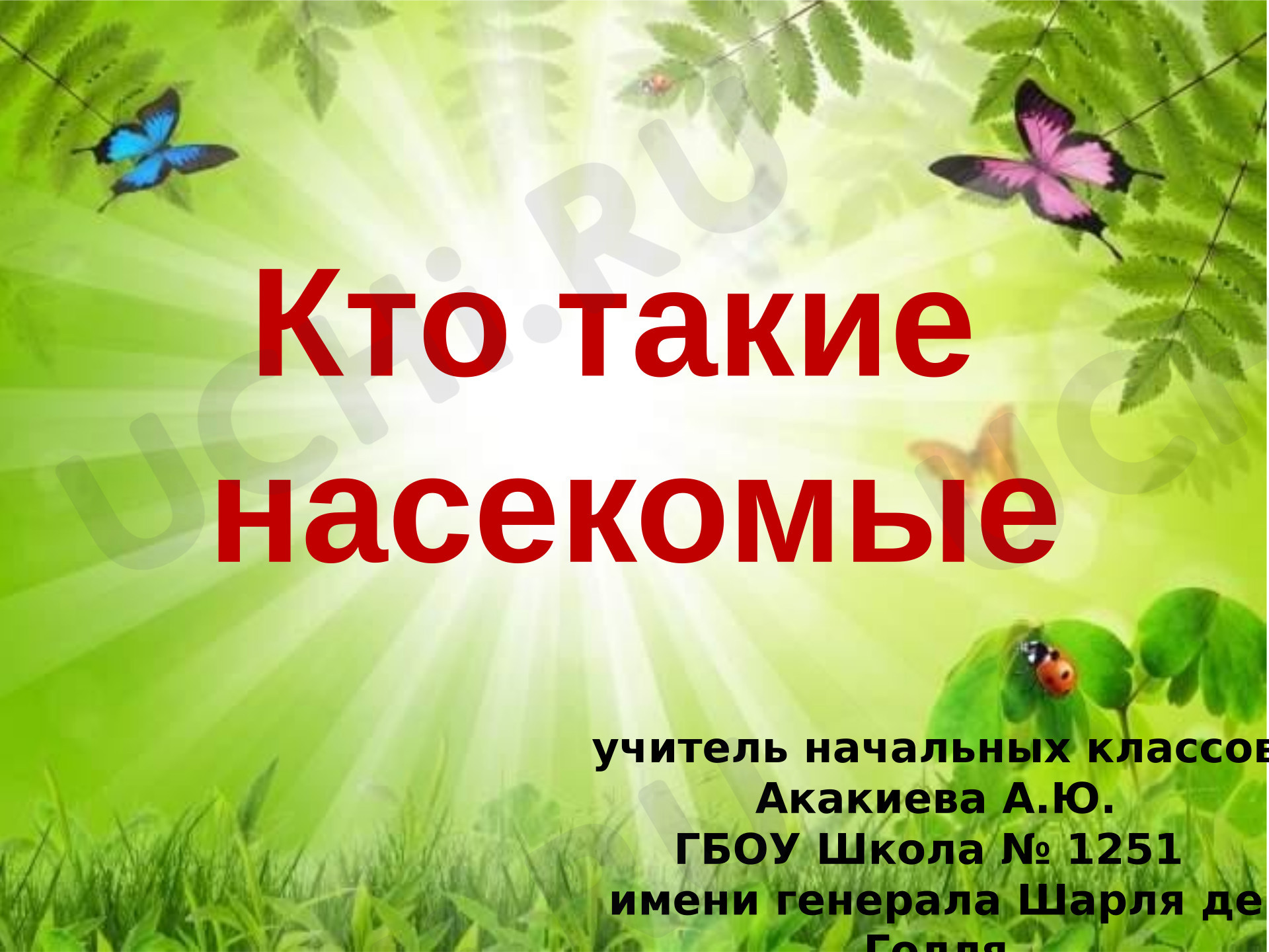 Предпросмотр материала Презентация к уроку окружающего мира. Кто такие насекомые?