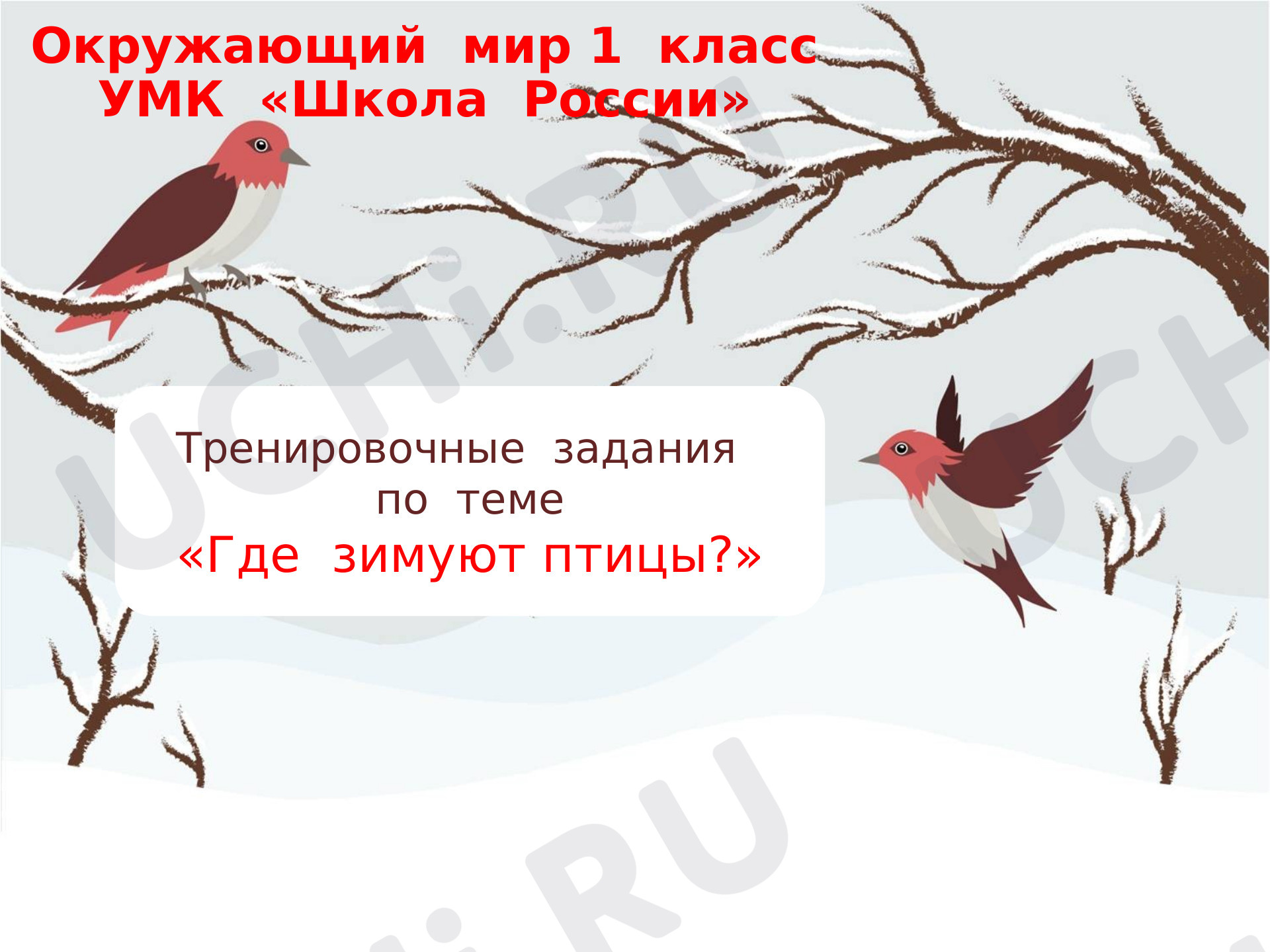 Предпросмотр материала Презентация. Зимующие птицы. Тестовые задания.