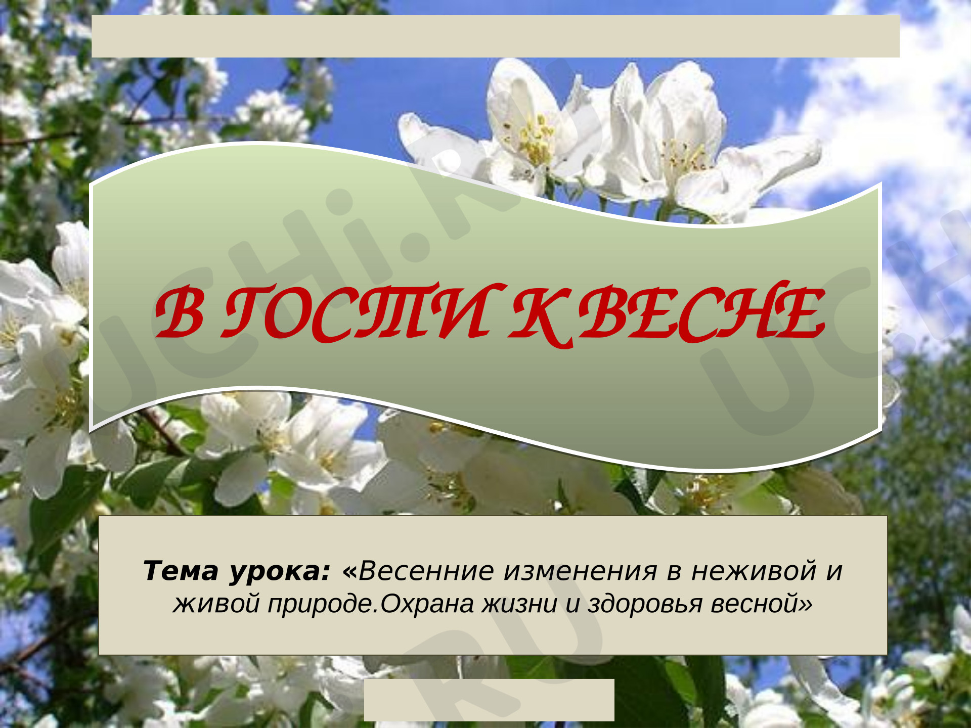 Предпросмотр материала Презентация к уроку окружающего мира. В гости к весне.