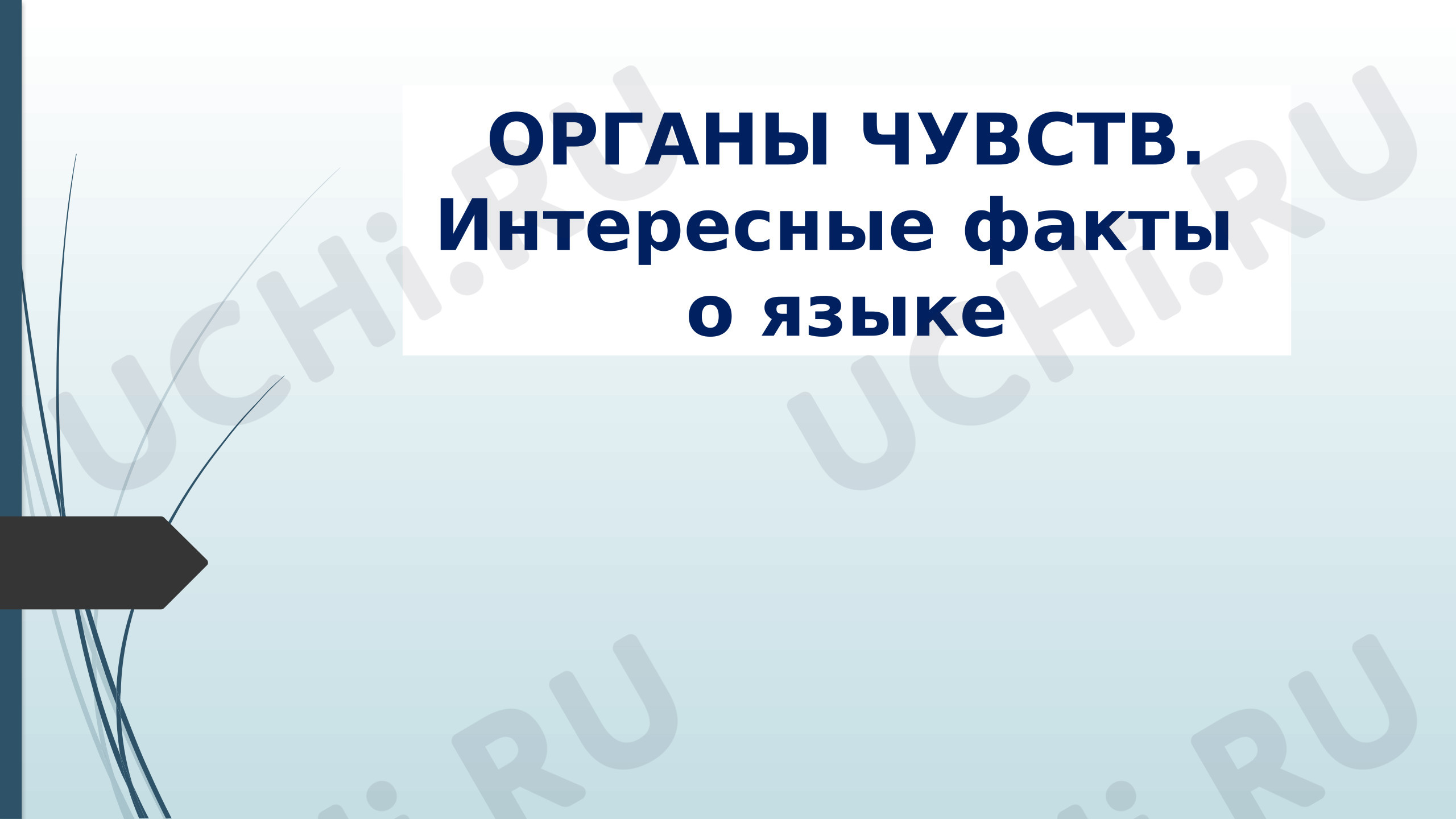 Предпросмотр материала Презентация. Окружающий мир. Органы чувств. Интересные факты о языке.