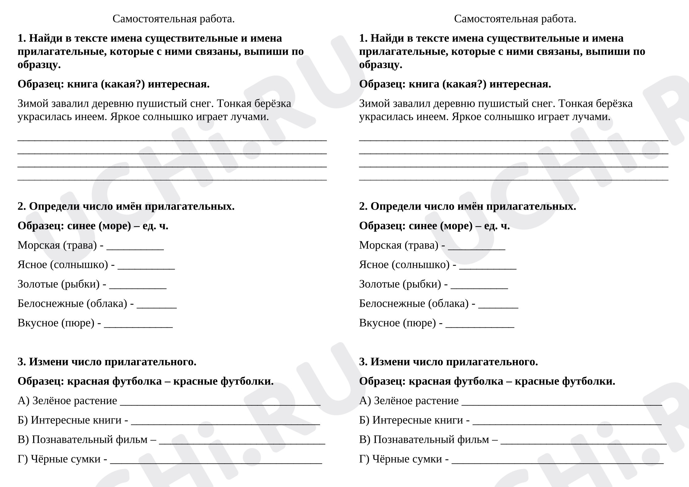 Предпросмотр материала Русский язык. Рабочие листы. Самостоятельная работа "Имя прилагательное"