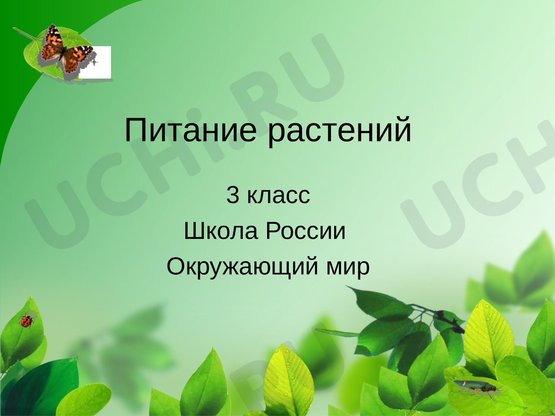 Предпросмотр материала Питание растений