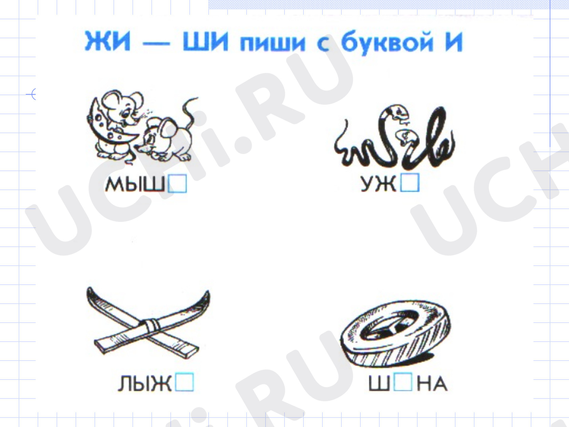 Учимся писать грамотно, русский язык 1 класс | Подготовка к уроку от Учи.ру