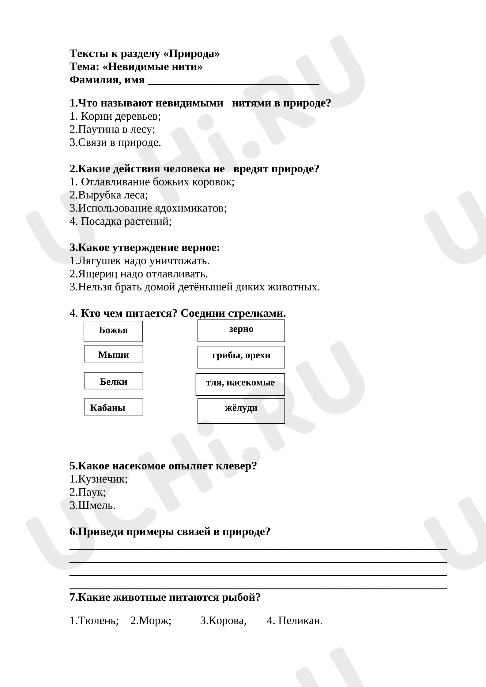 Предпросмотр материала Проверочная работа. Тест к уроку окружающего мира к разделу «Природа» Тема: «Невидимые нити»