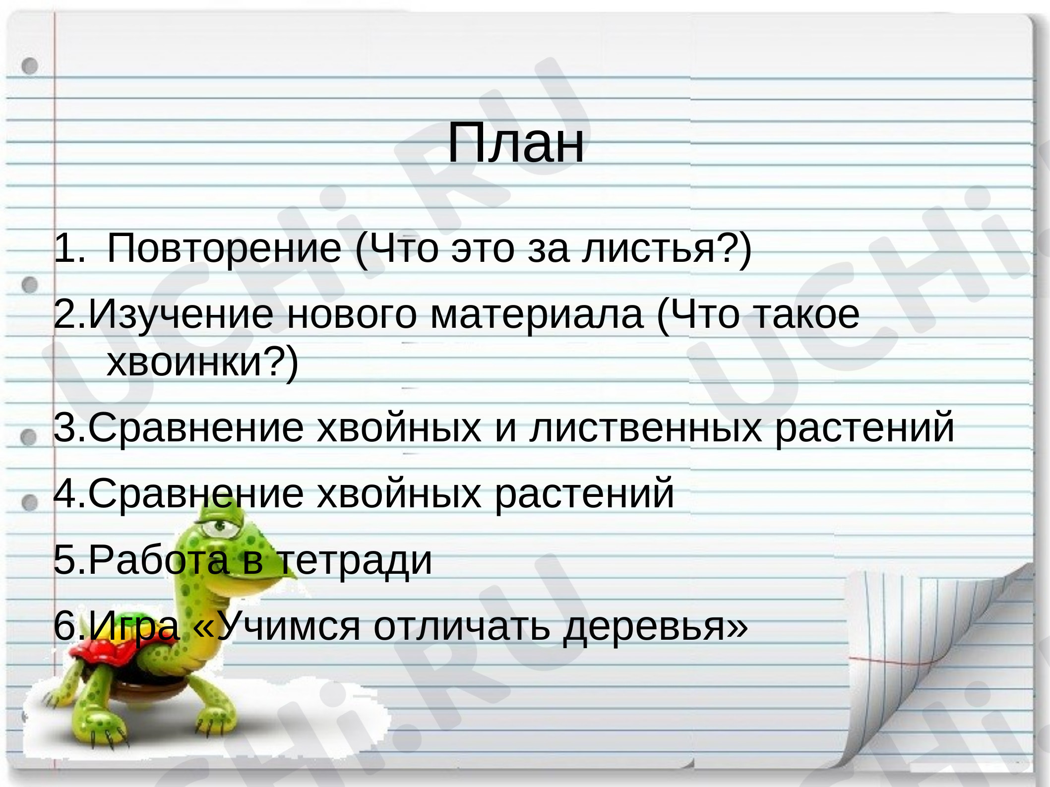 Предпросмотр материала Презентация к уроку окружающего мира по теме: Что это за листья. Что такое хвоинки