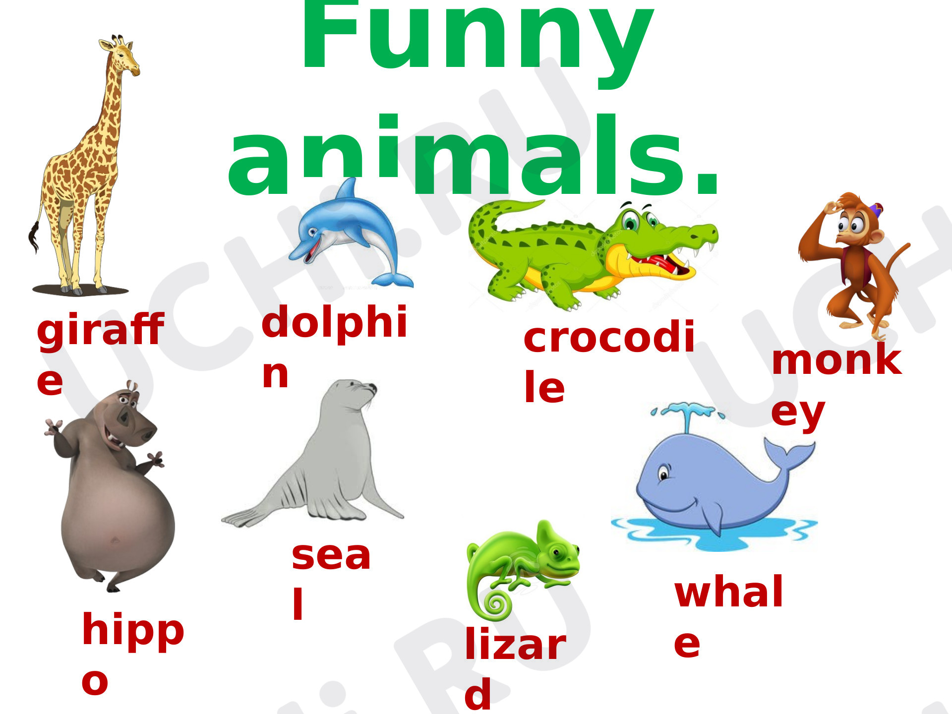 Предпросмотр материала Презентация (тема "Funny animals")