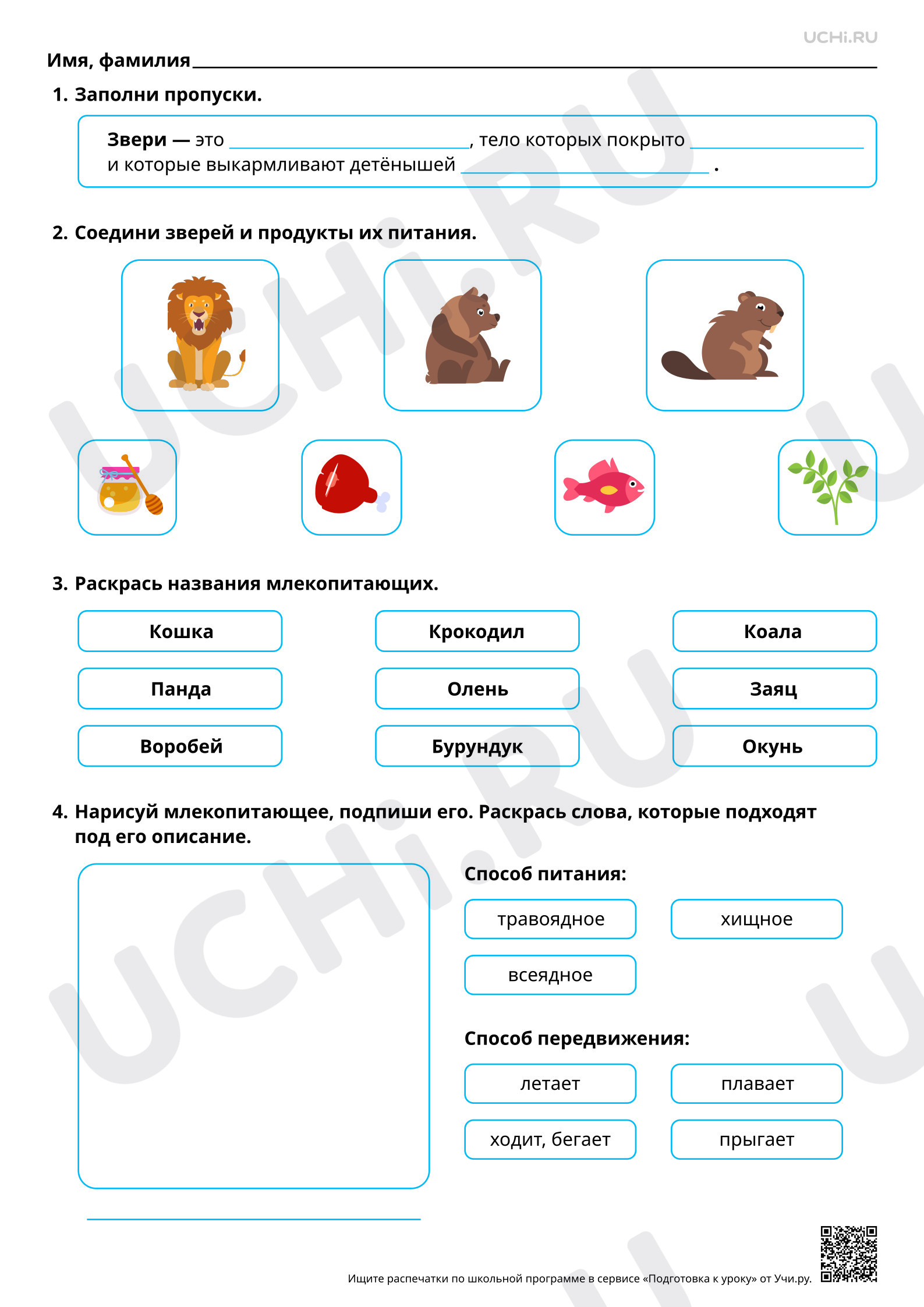 Предпросмотр материала Мир животных: звери (млекопитающие). Базовый уровень