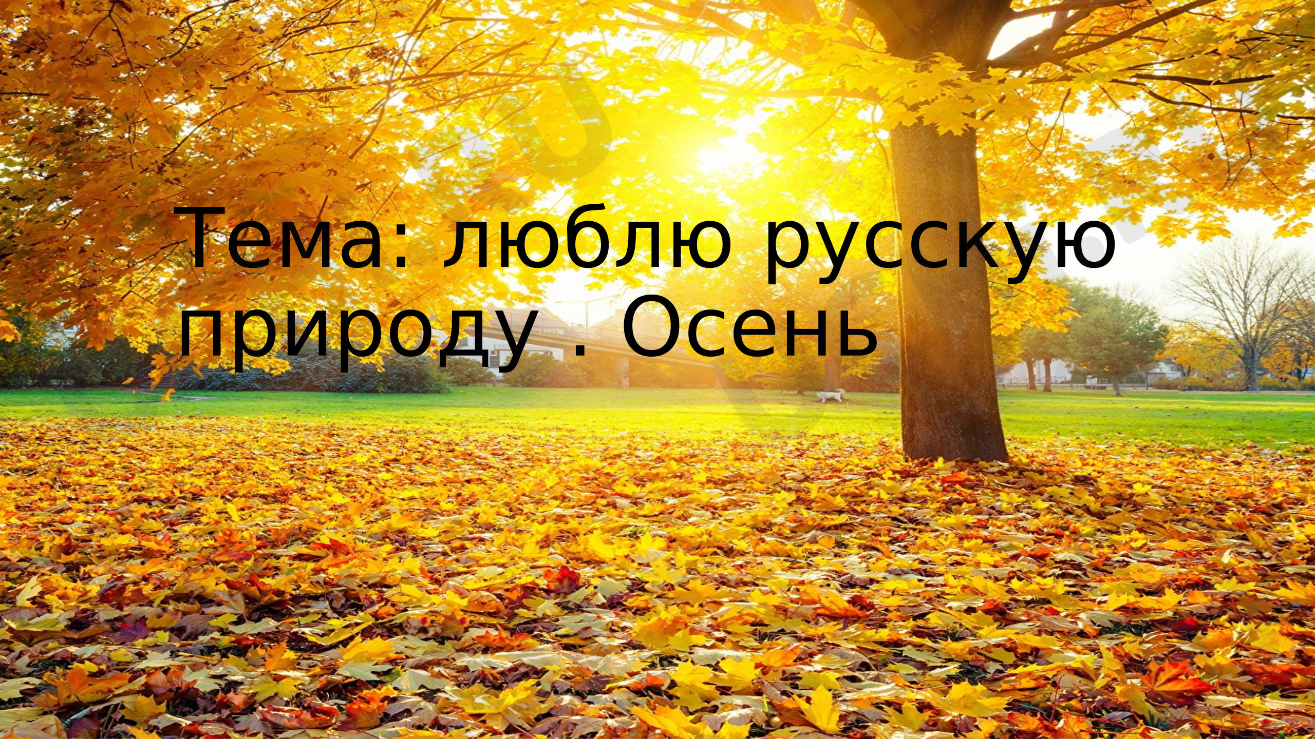 Предпросмотр материала Презентация. "Золотая осень"