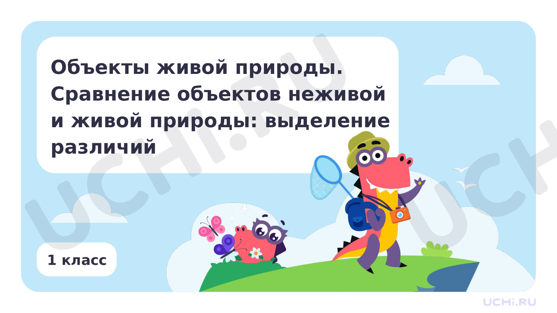 Объекты живой природы. Сравнение объектов неживой и живой природы:  выделение различий: Объекты живой природы. Сравнение объектов неживой и  живой природы: выделение различий | Учи.ру