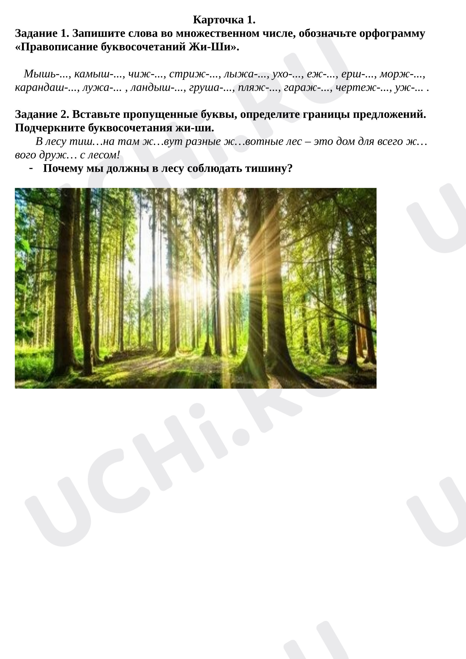 Предпросмотр материала Самостоятельная работа к уроку русского языка. Правописание буквосочетаний «жи-ши».