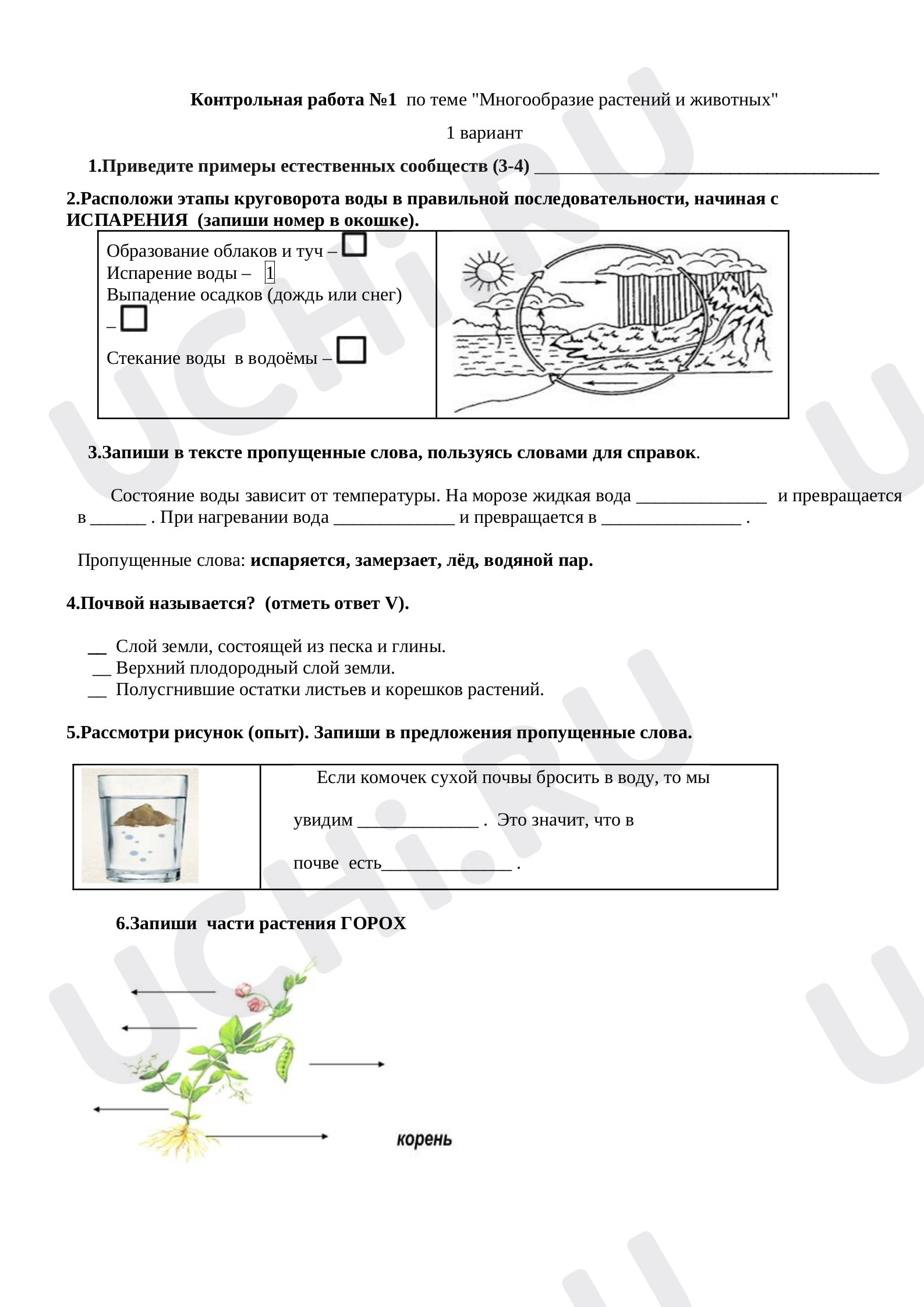 Предпросмотр материала Контрольная работа №1  по теме "Многообразие растений и животных"