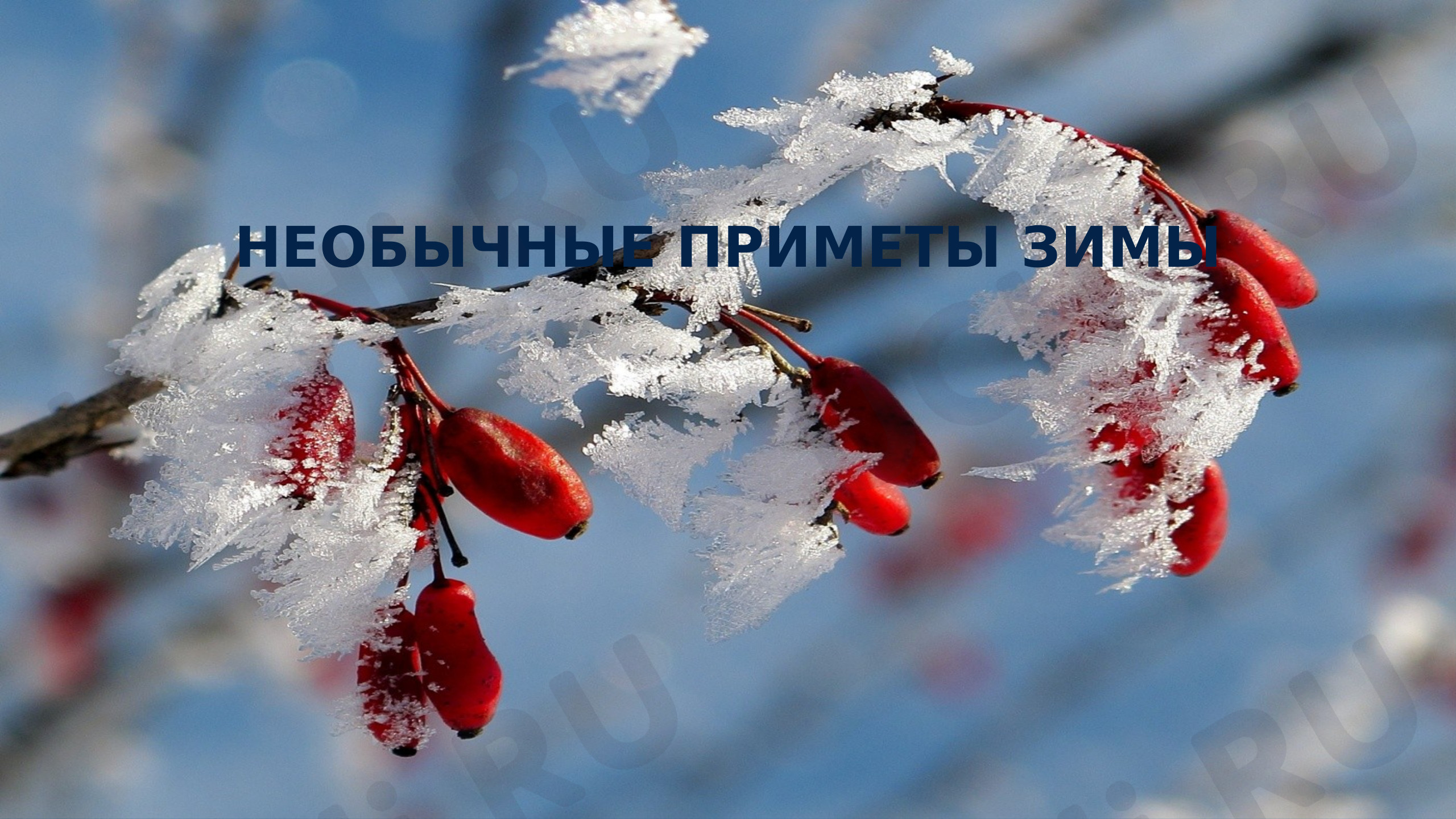 Предпросмотр материала Презентация к занятию. Необычные приметы зимы.