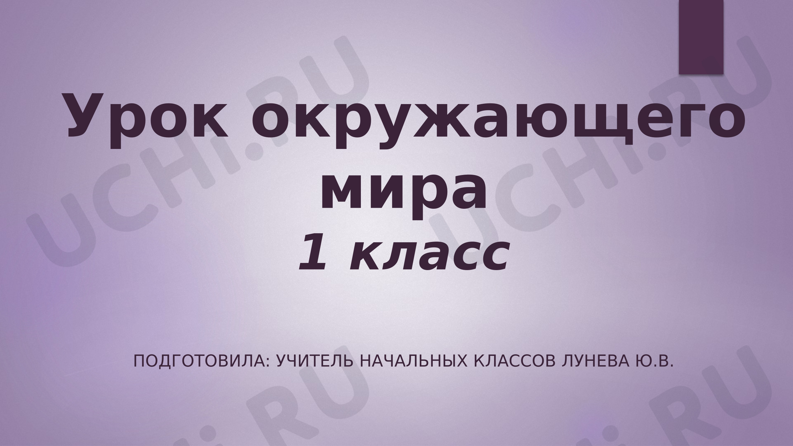 Предпросмотр материала Презентация к уроку окружающего мира на тему "Когда появилась одежда?"