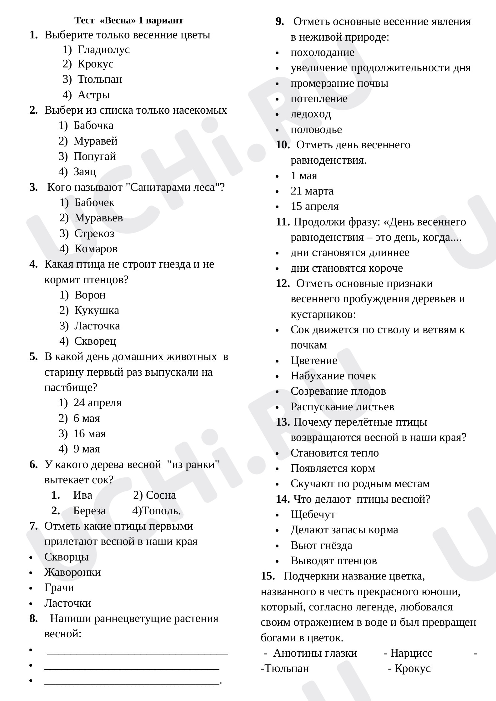 Предпросмотр материала Весна и лето