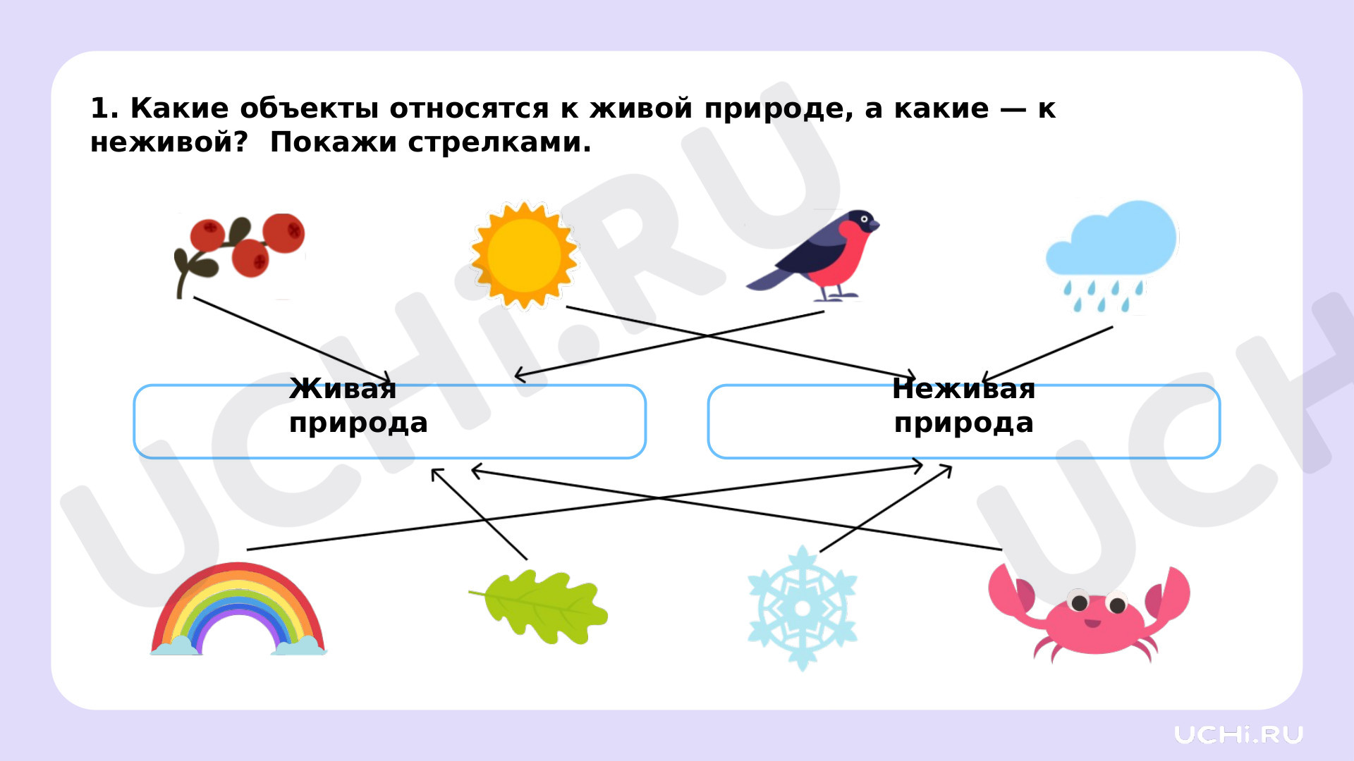 Рисунок живой и неживой природы