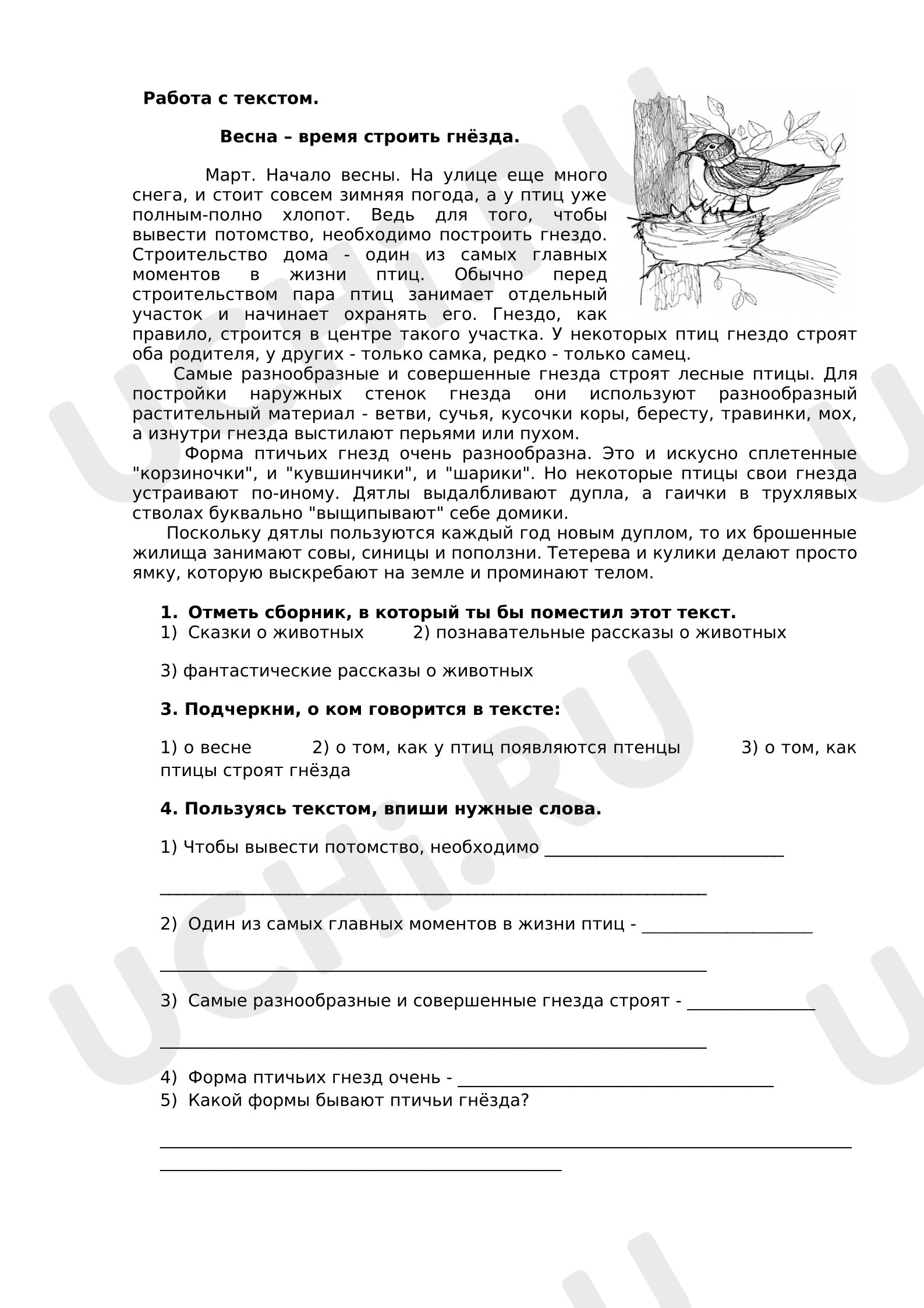 Предпросмотр материала Рабочие листы. Работа с текстом.