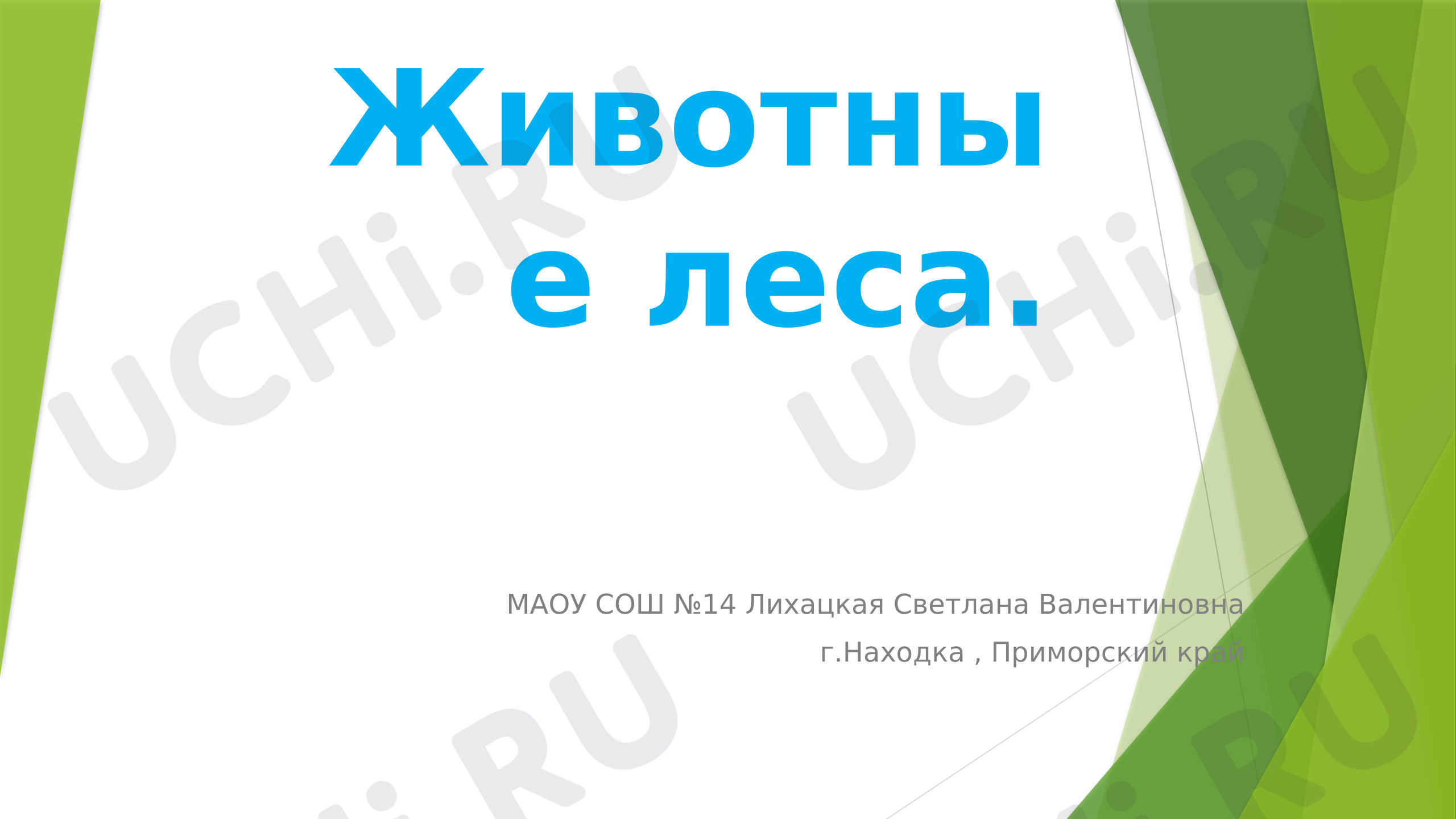 Предпросмотр материала Животные леса.