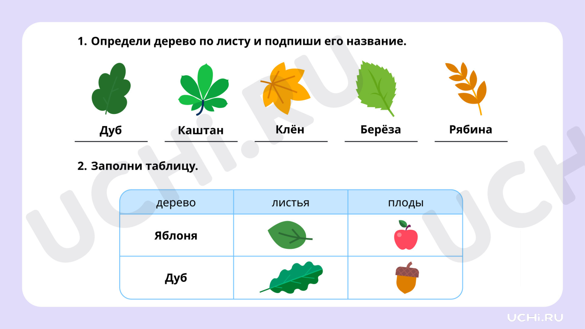 Окружающий мир для 2 четверти 1 класса. ЭОР | Подготовка к уроку от Учи.ру