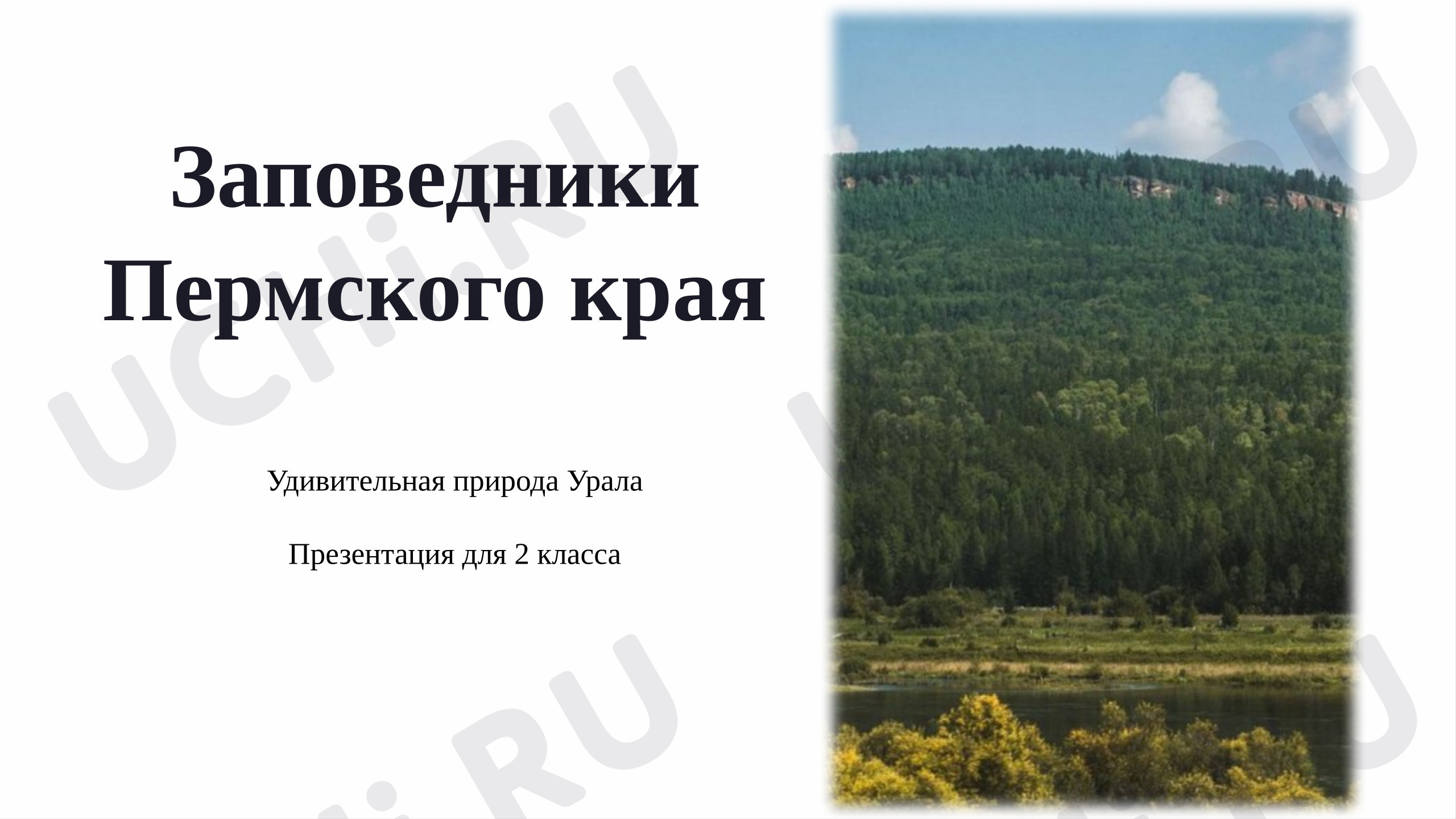 Предпросмотр материала Презентация к уроку окружающего мира. Заповедники Пермского края.