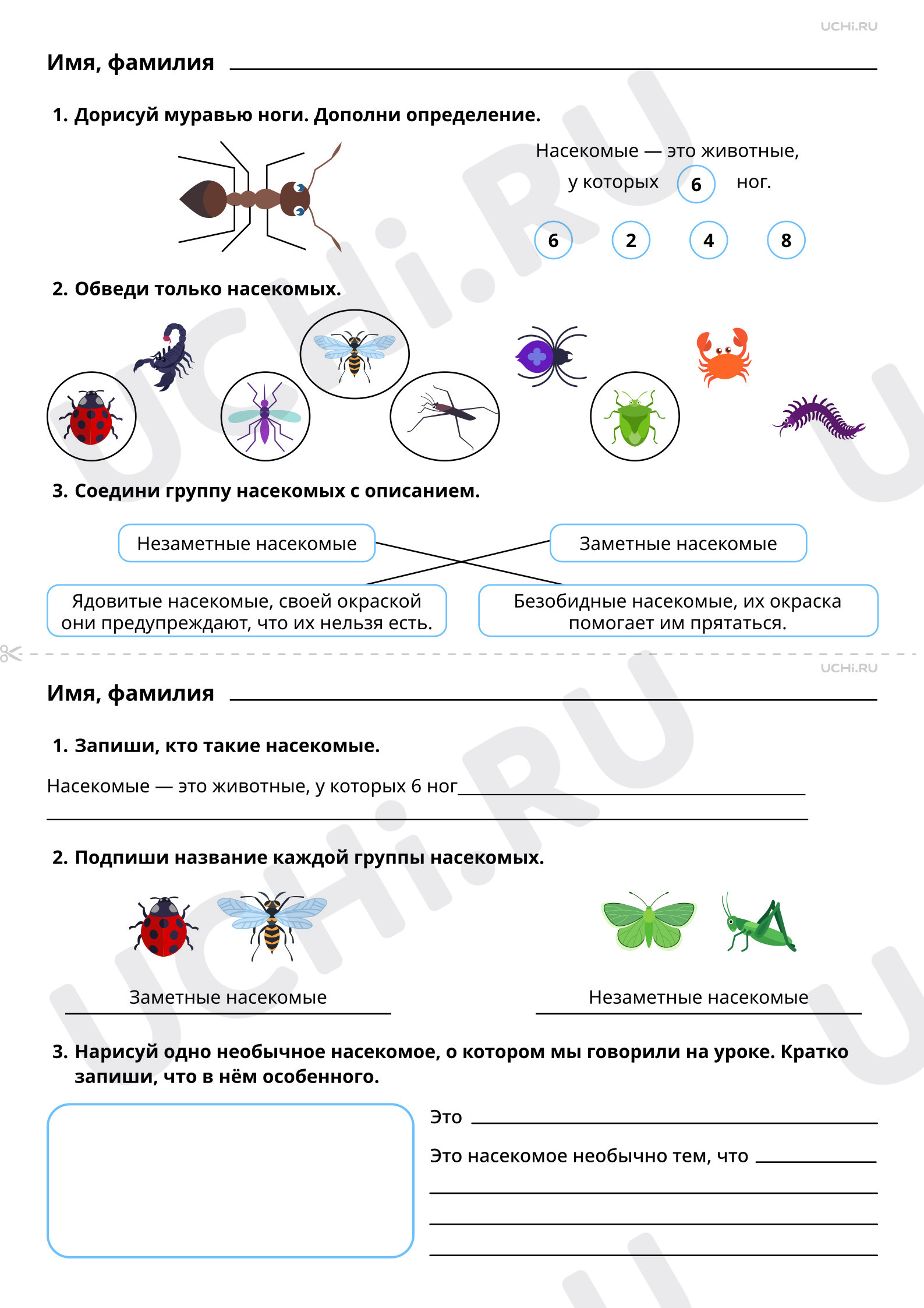 Ответы к рабочим листам по теме Мир животных: насекомые (узнавание,  называние). Главная особенность этой группы животных: Мир животных:  насекомые (узнавание, называние). Главная особенность этой группы животных  | Учи.ру