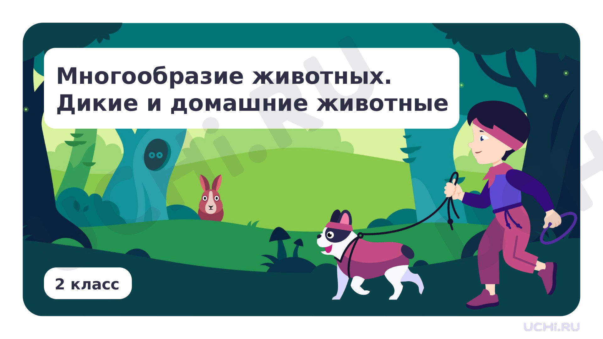 Предпросмотр материала Многообразие животных. Дикие и домашние животные