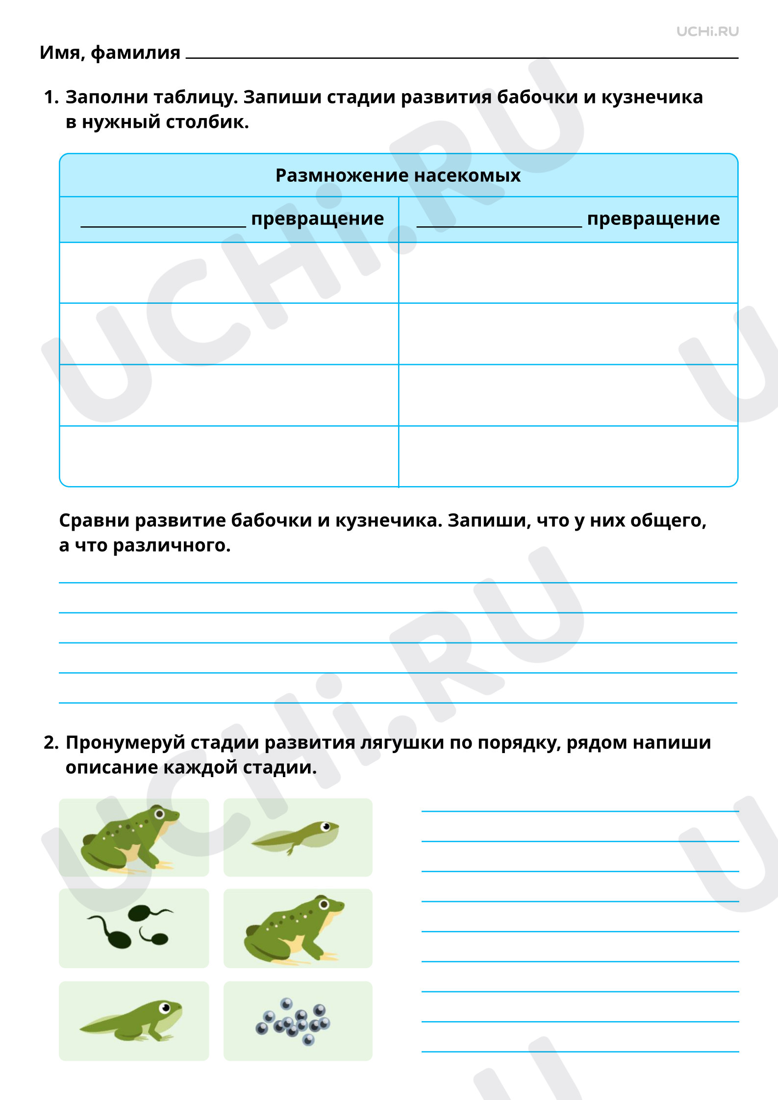 Предпросмотр материала Животные и их потомство. Повышенный уровень