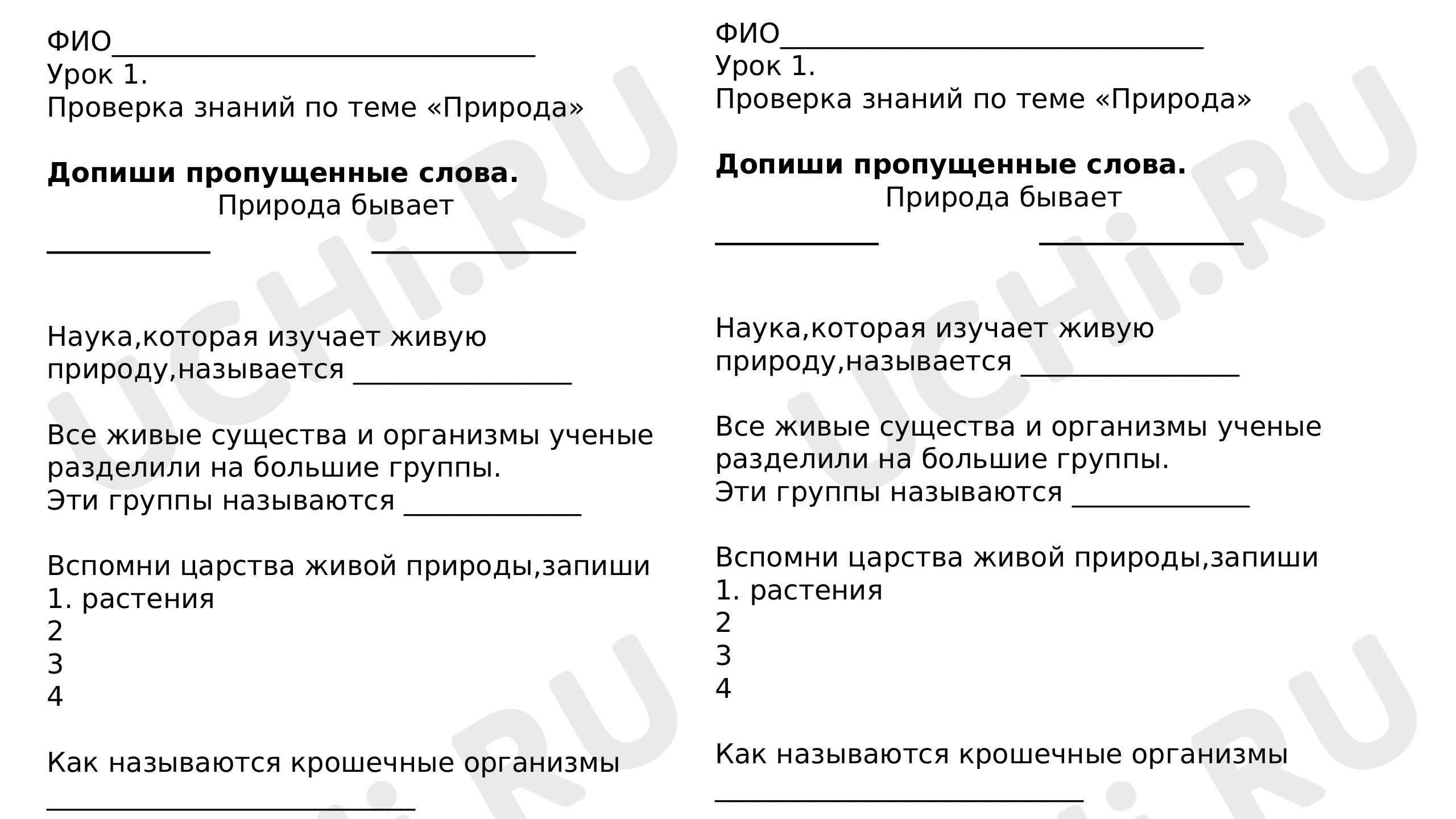 Предпросмотр материала Проверка знаний по теме «Природа». Рабочий лист