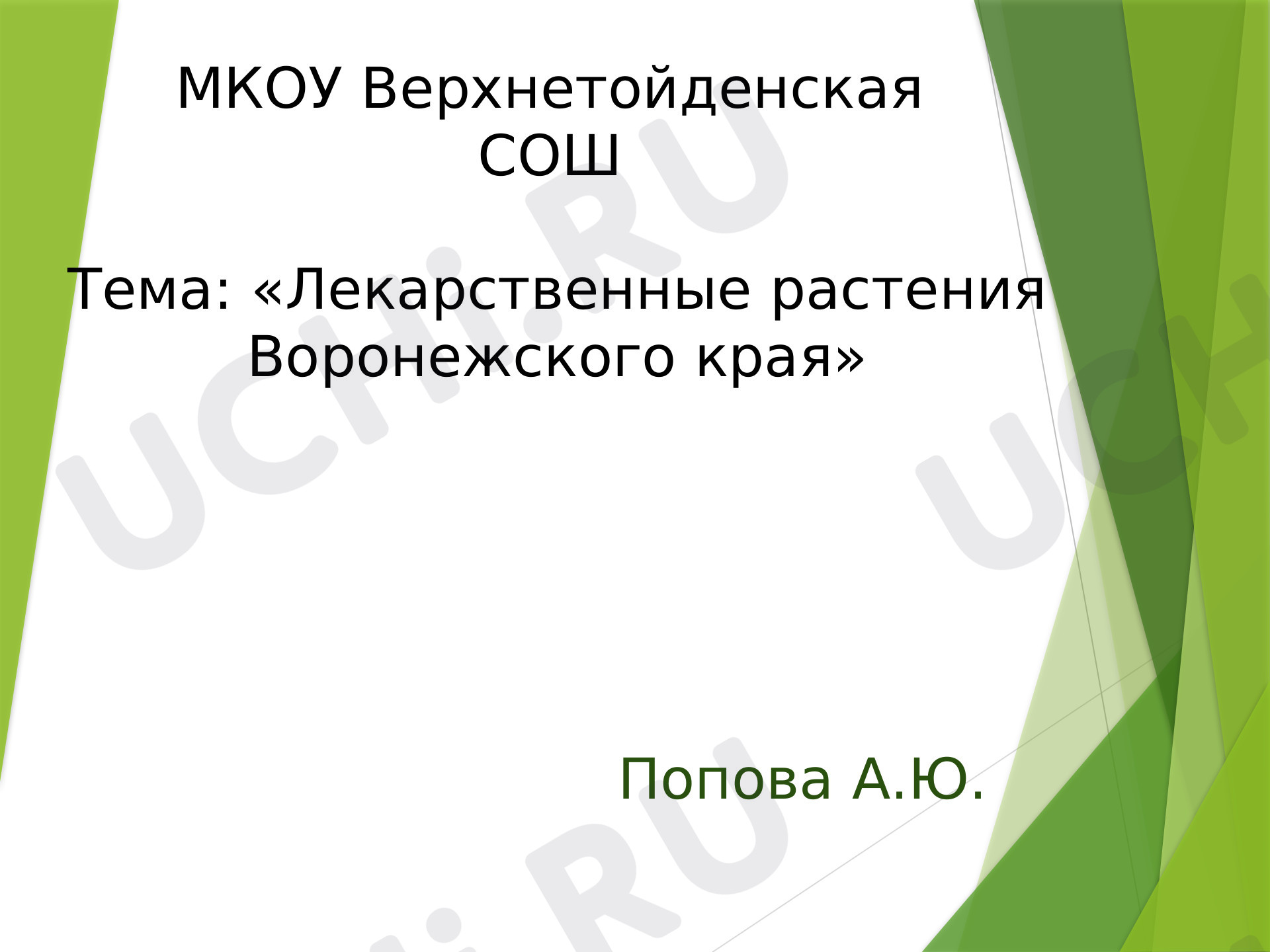 Предпросмотр материала Презентация к уроку окружающего мира по теме: "Лекарственные растения Воронежского края"