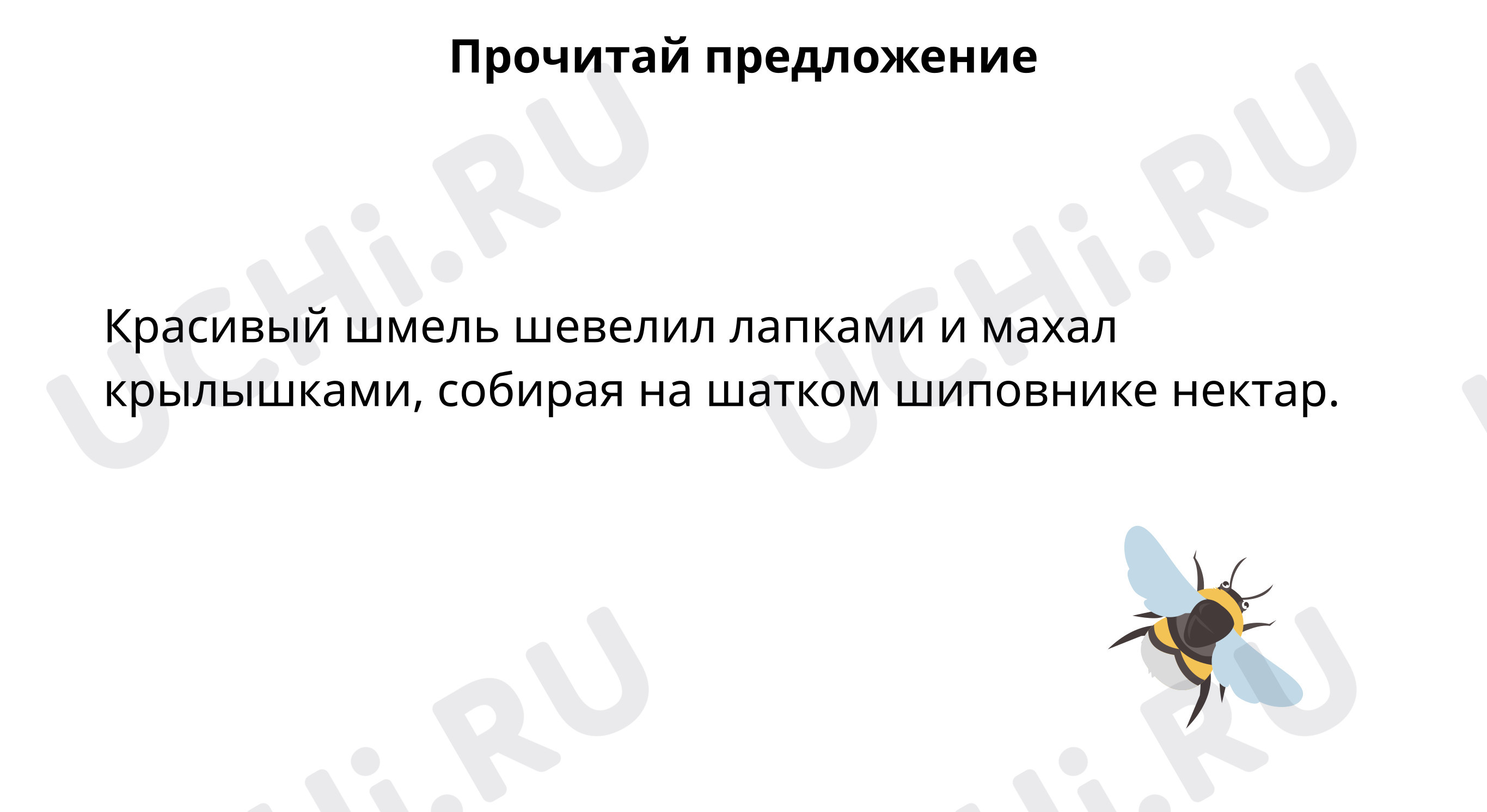 Предпросмотр материала Прочитай предложение, проверь фонетический разбор