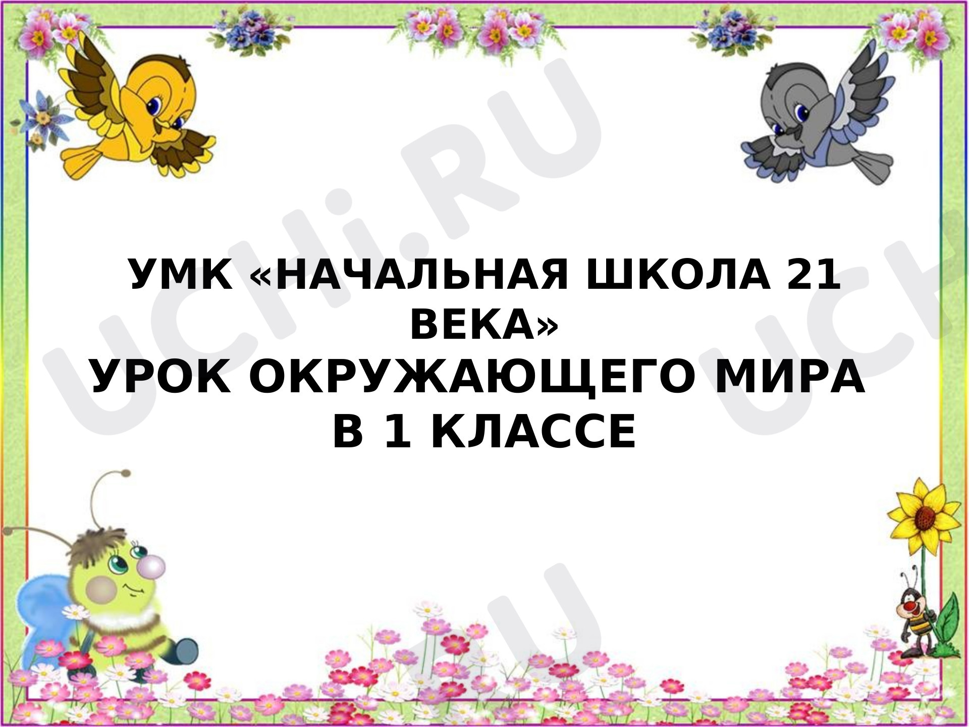 Предпросмотр материала Где ты живешь