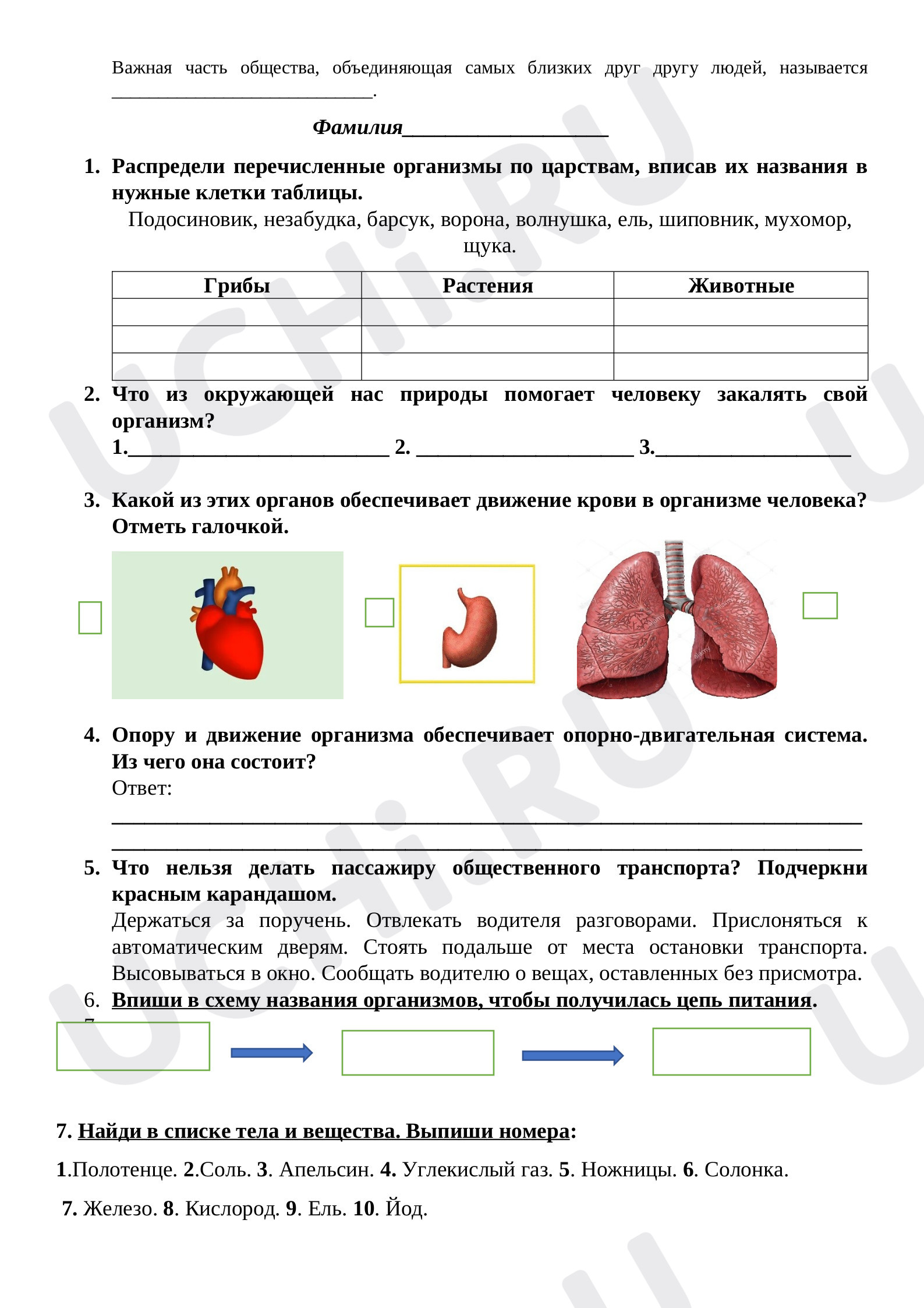 Про меня, окружающий мир 3 класс | Подготовка к уроку от Учи.ру