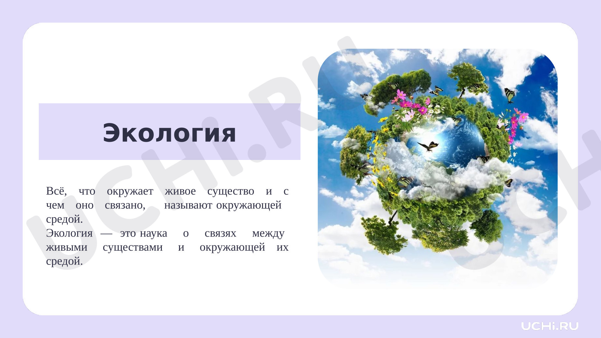 Предпросмотр материала Презентация к уроку окружающего мира. Что такое экология?